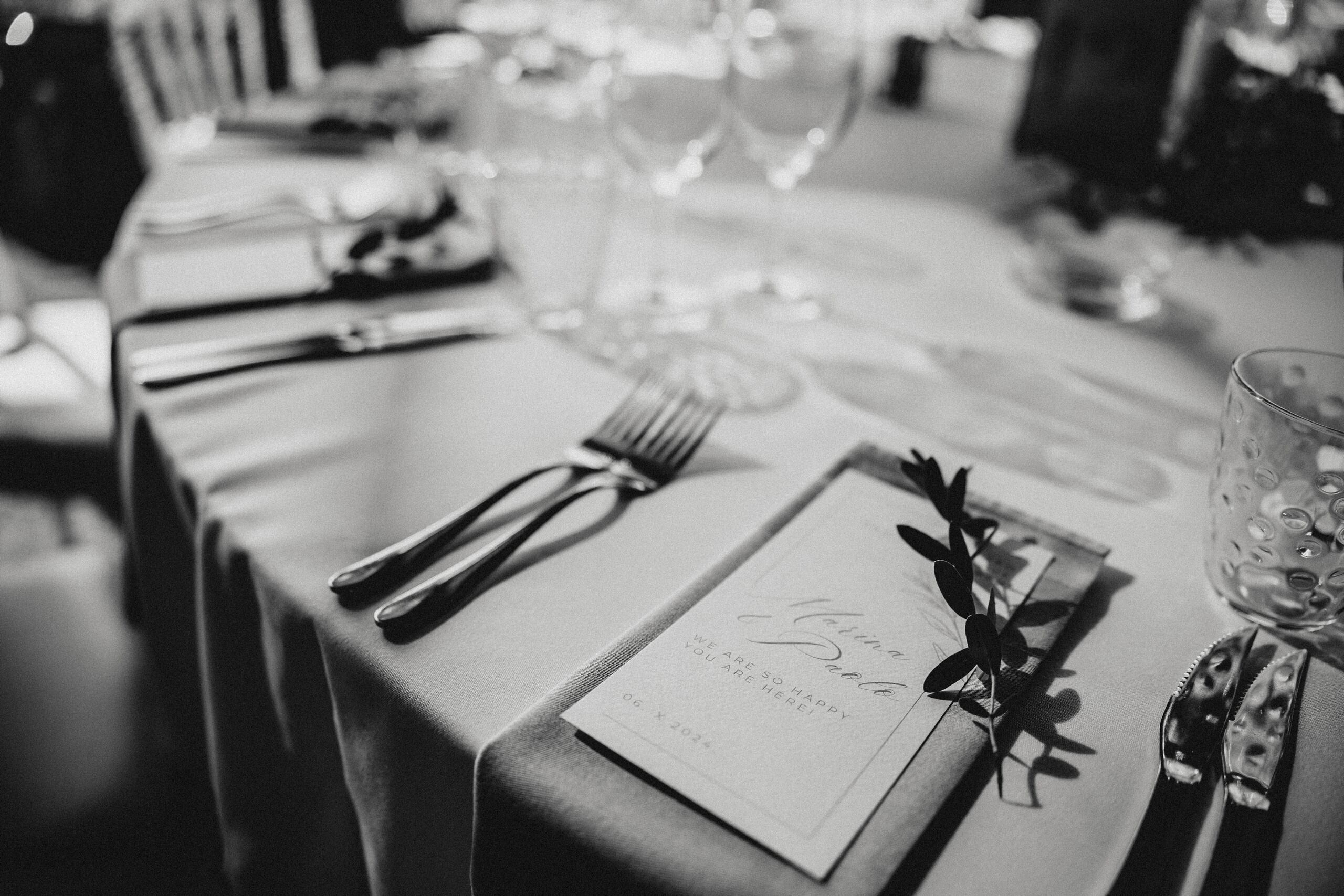 Marina & Paolo. Wedding photographer based in Novi Sad, Marko Milivojevic