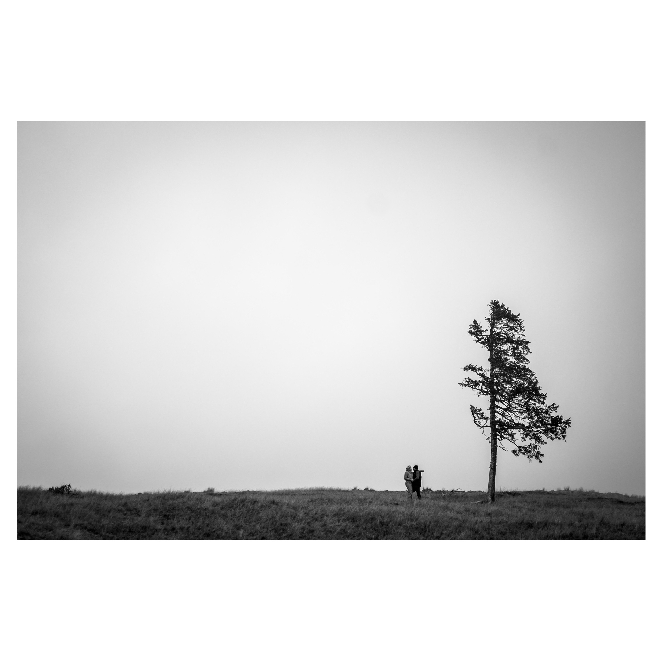 Workshop. Ionut Birceanu