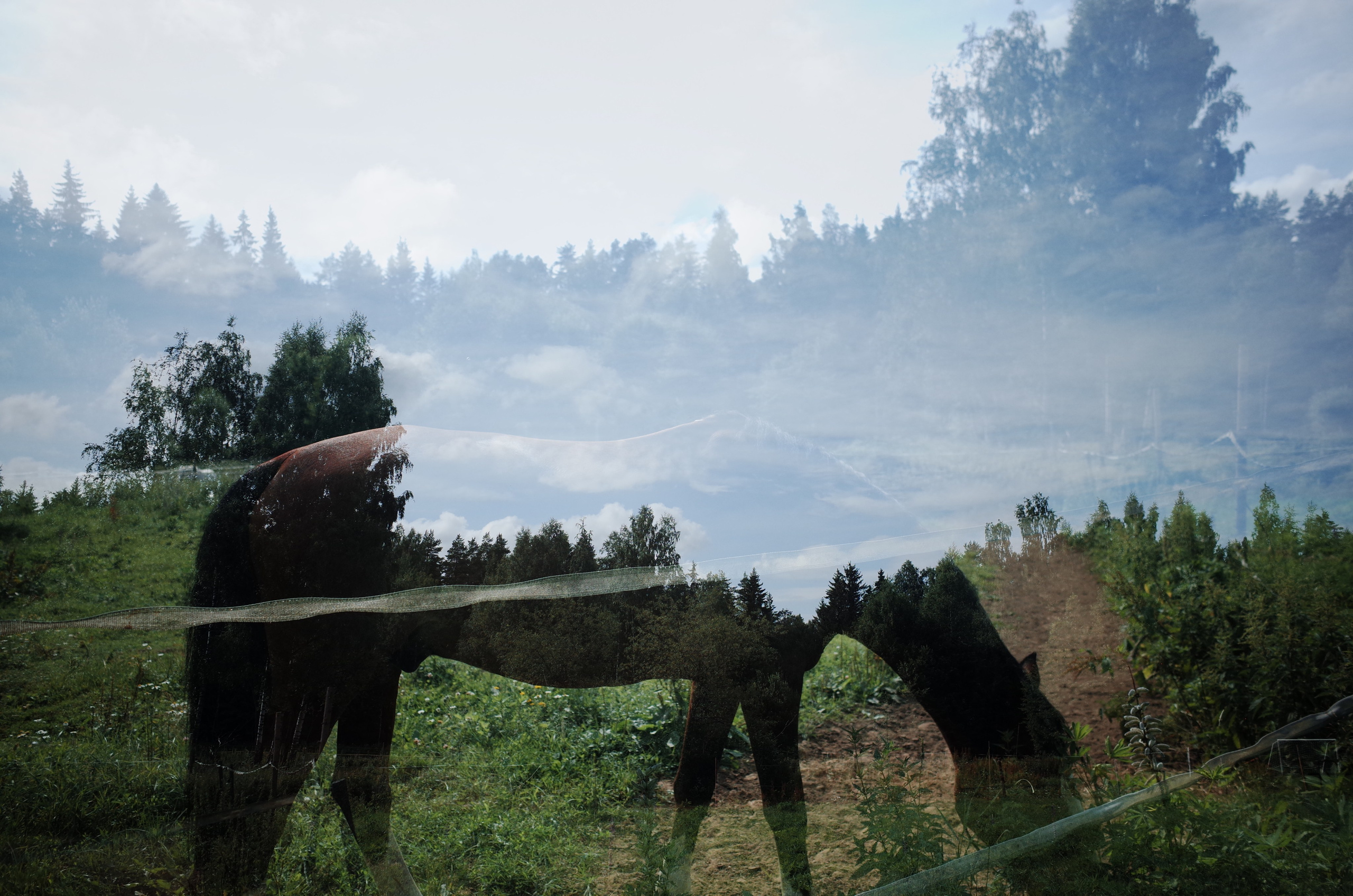 Victoria Dini. Art photography in London / Folkestone, UK