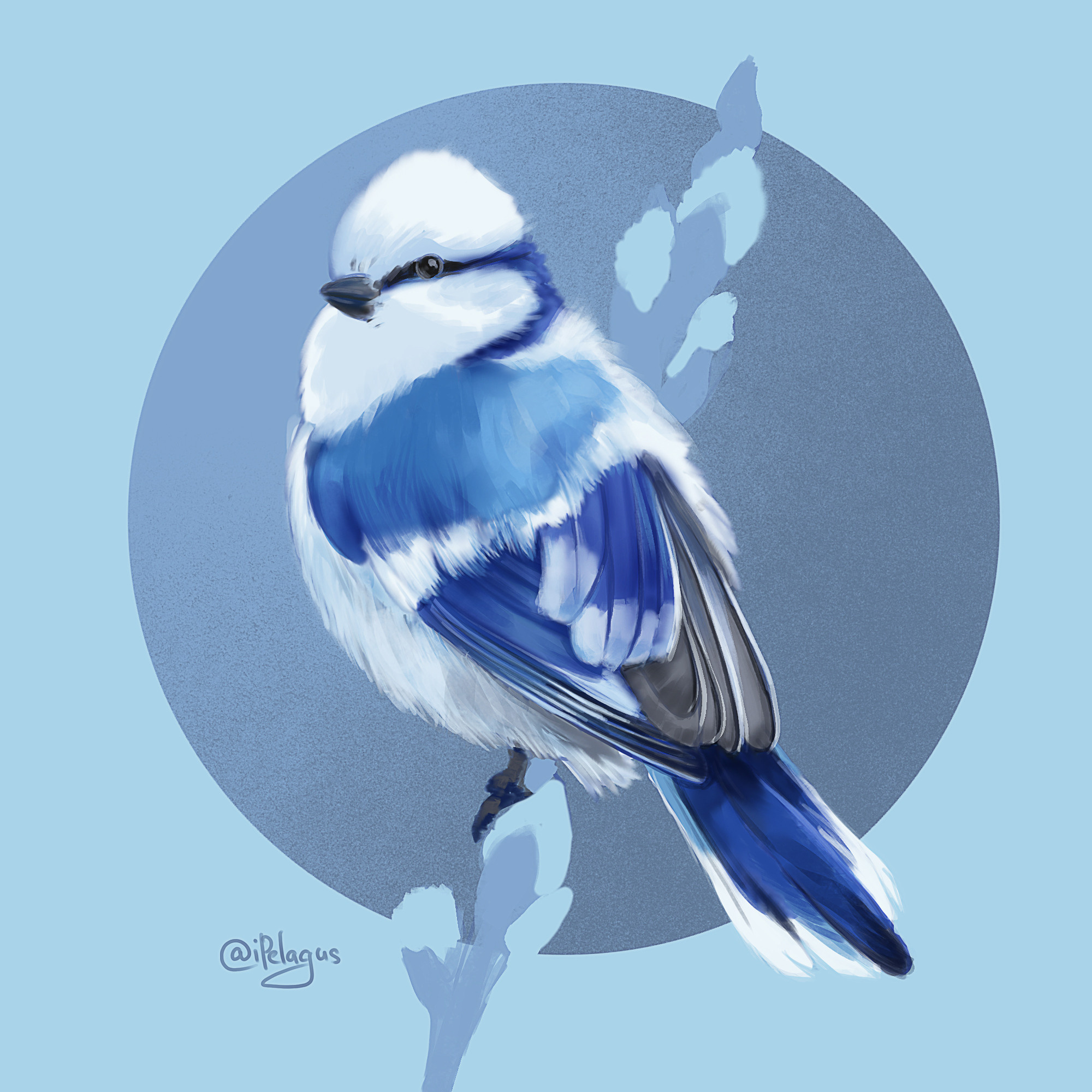 Illustrations – My Artwork from Different Years