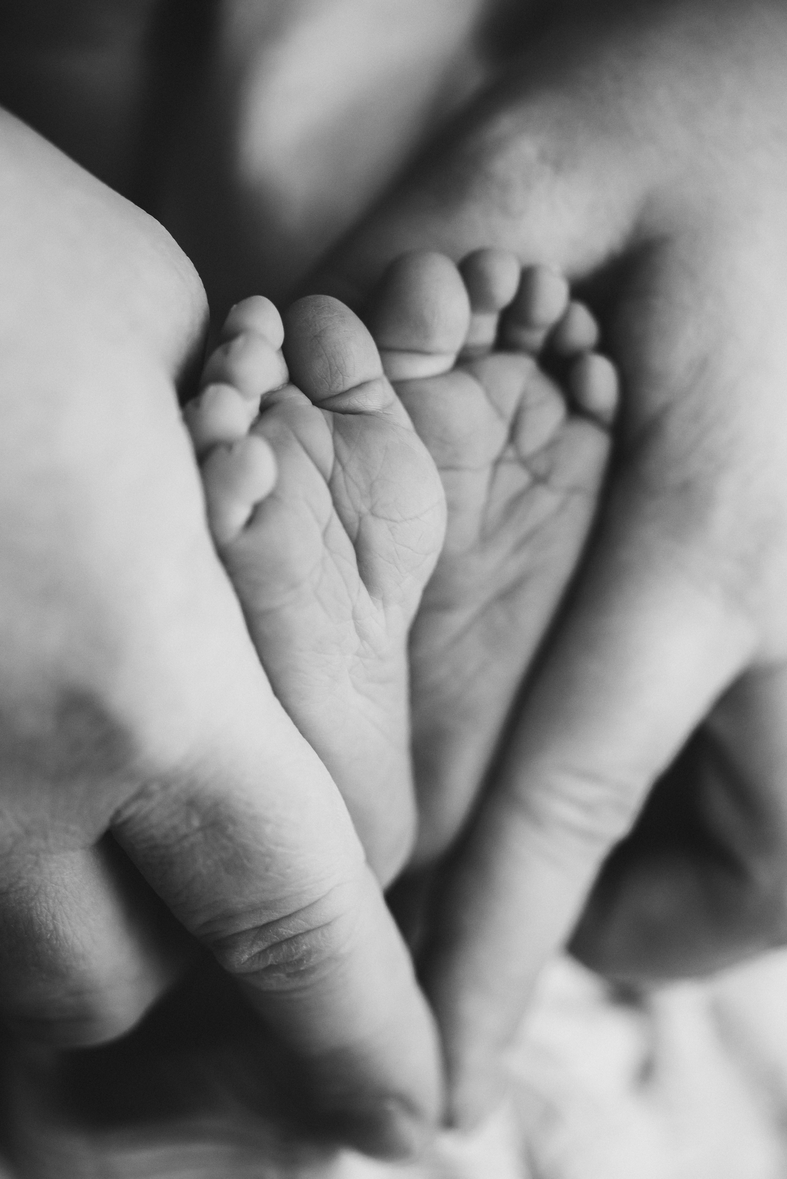 NEWBORN. Valokuvaaja Itä-Uudellamaalla Viktoria photography