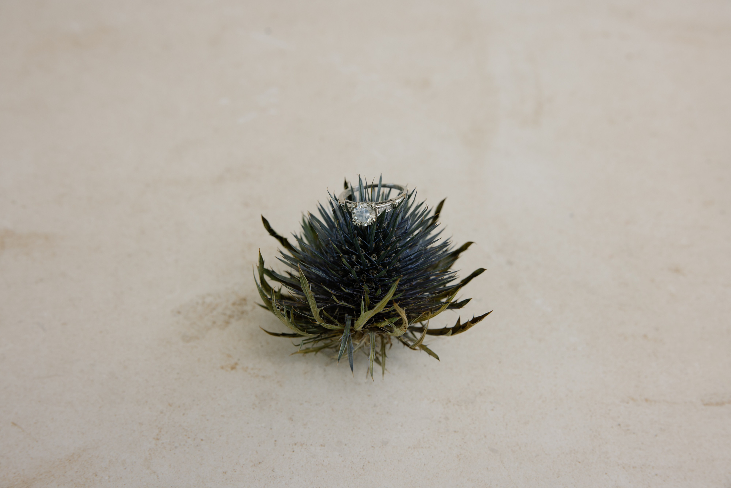 2. Весільний фотограф Вікторія Саврук