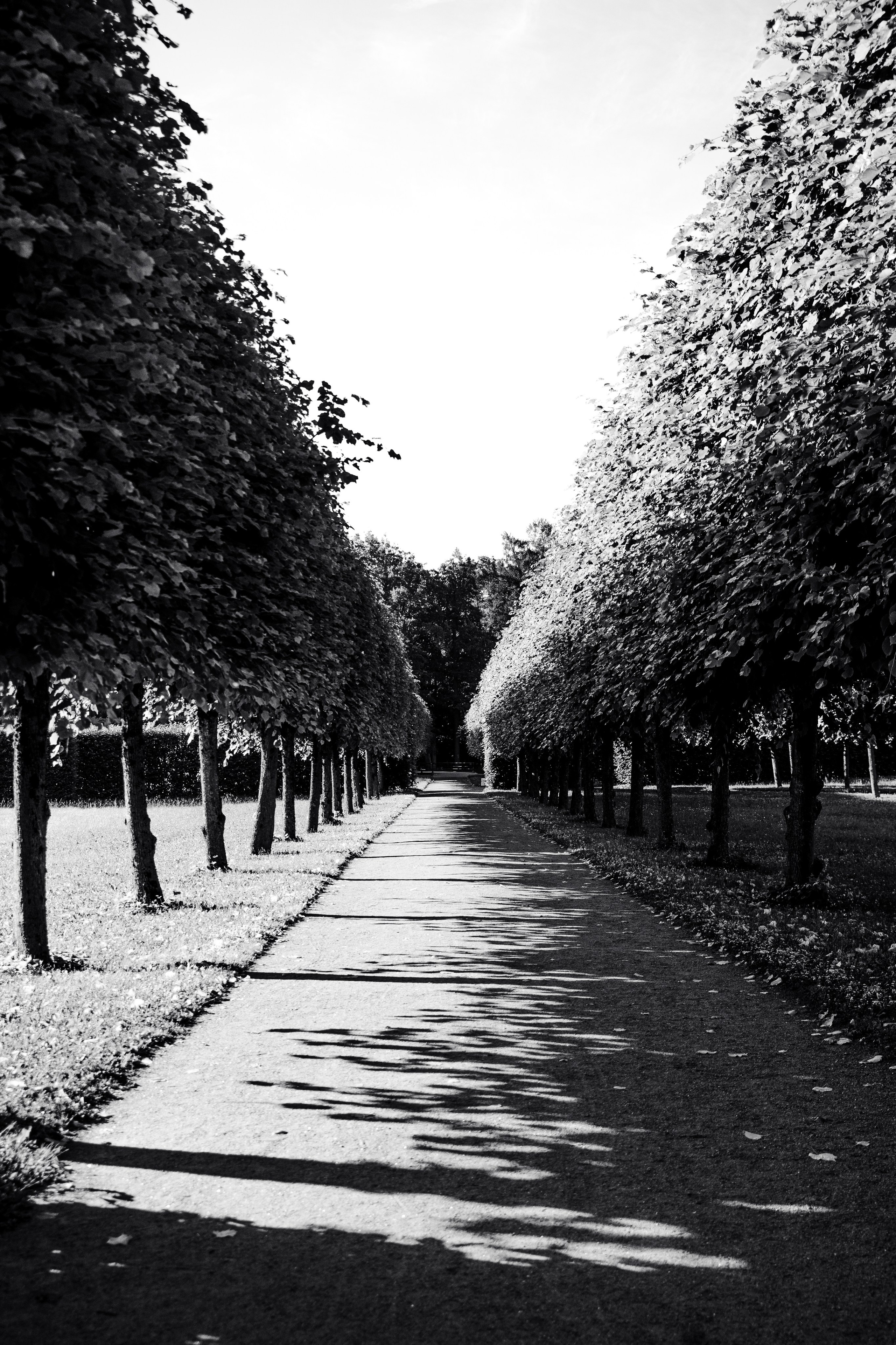 St Petersburg. Fotografinja in videografinja Mariia Bortiakova iz Slovenije: fotografiranje dogodkov, portretov in snemanje videov po vsej Sloveniji