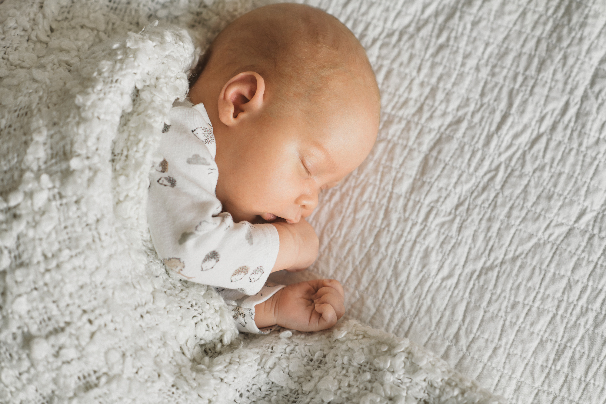 Домашняя фотосессия новорожденного малыша в Праге. Семейный и свадебный фотограф в Праге Наталья Федори