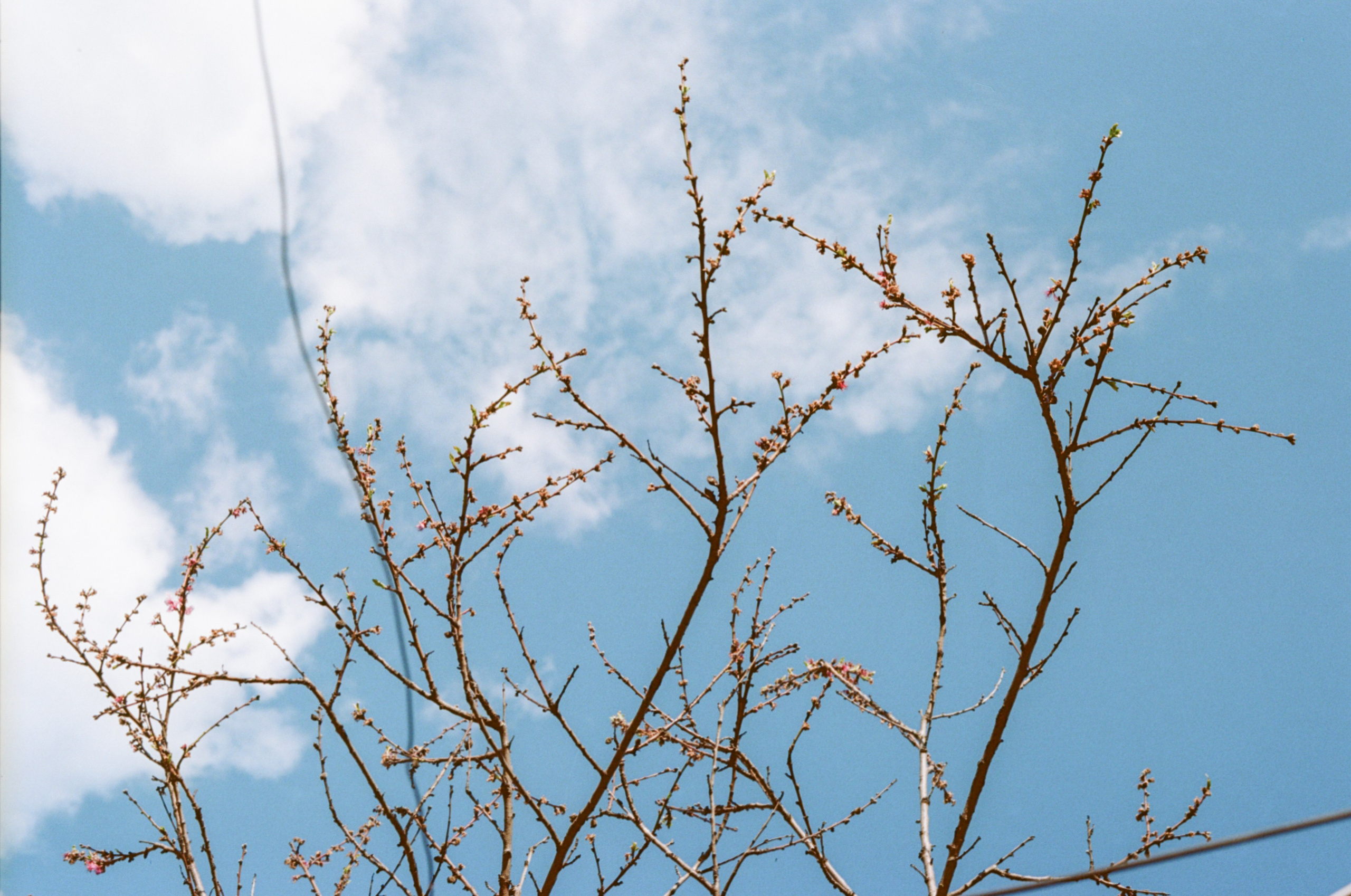 Still Home. Professional Photographer, Videographer in London Dilyana Tankova