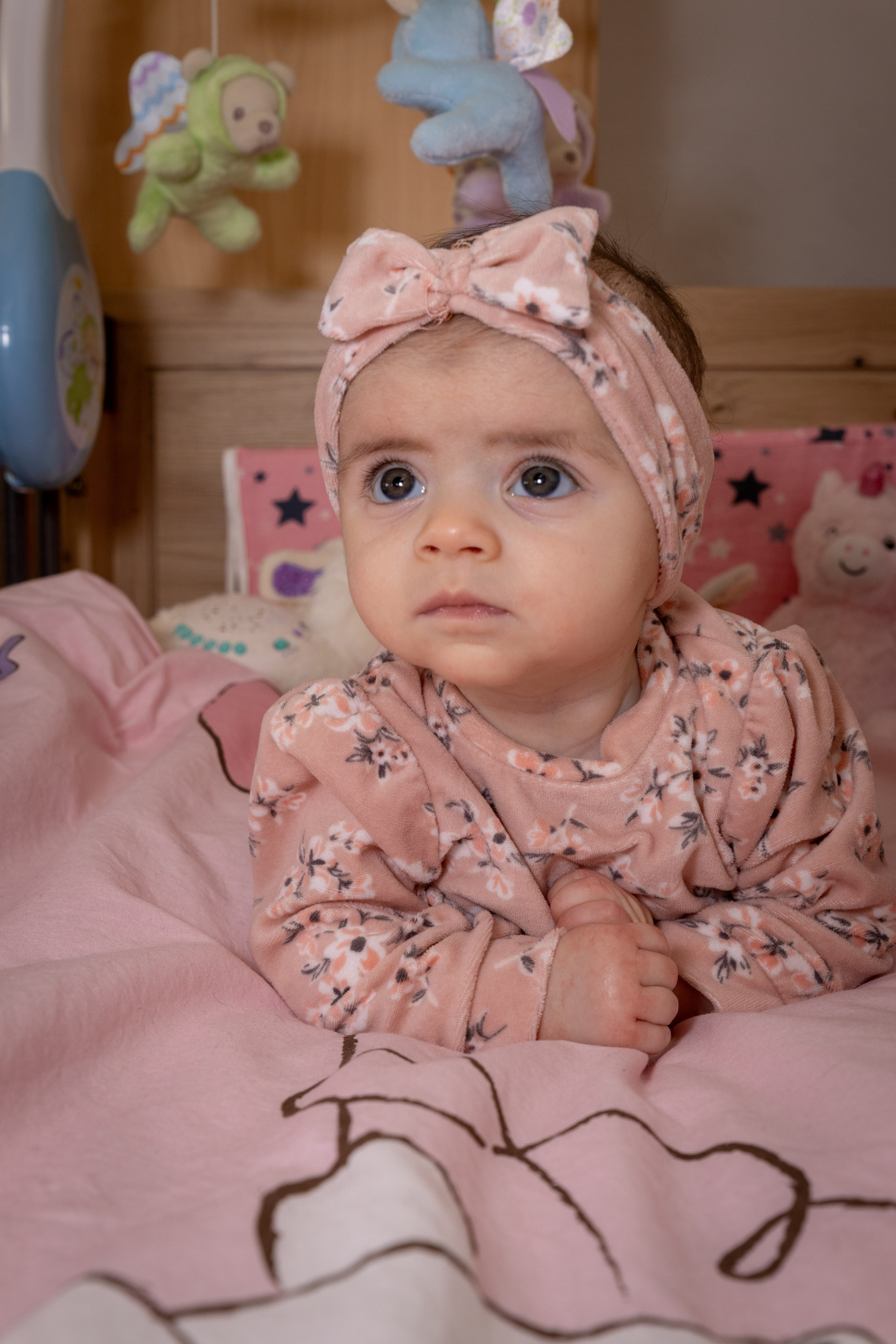 Fotograf familie, mini studio, evenimente, botez, majorat