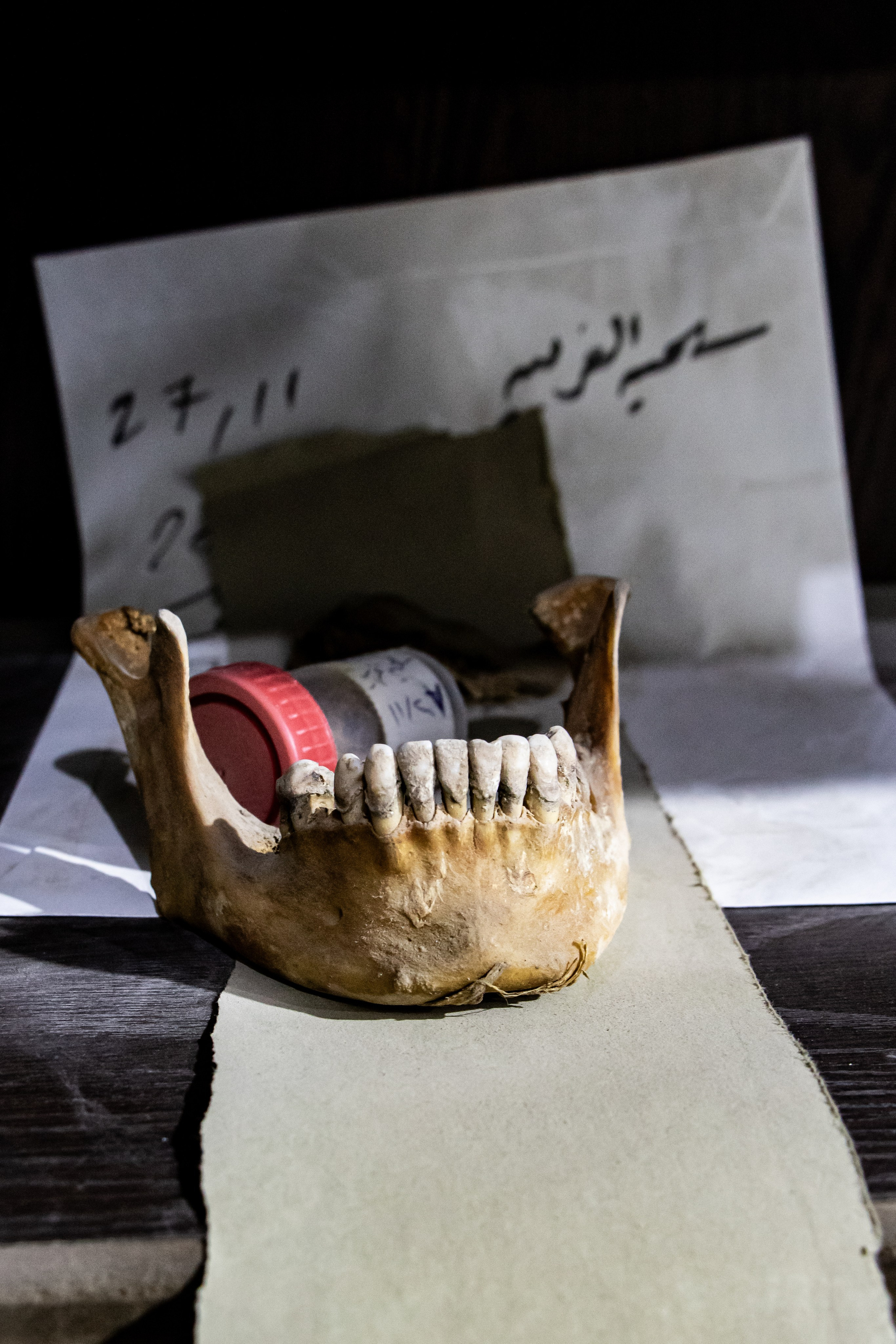 Association Syrian Missing Person, qui enquête sur les ossements retrouvés dans les fosses communes de Daesh. Une mâchoire.