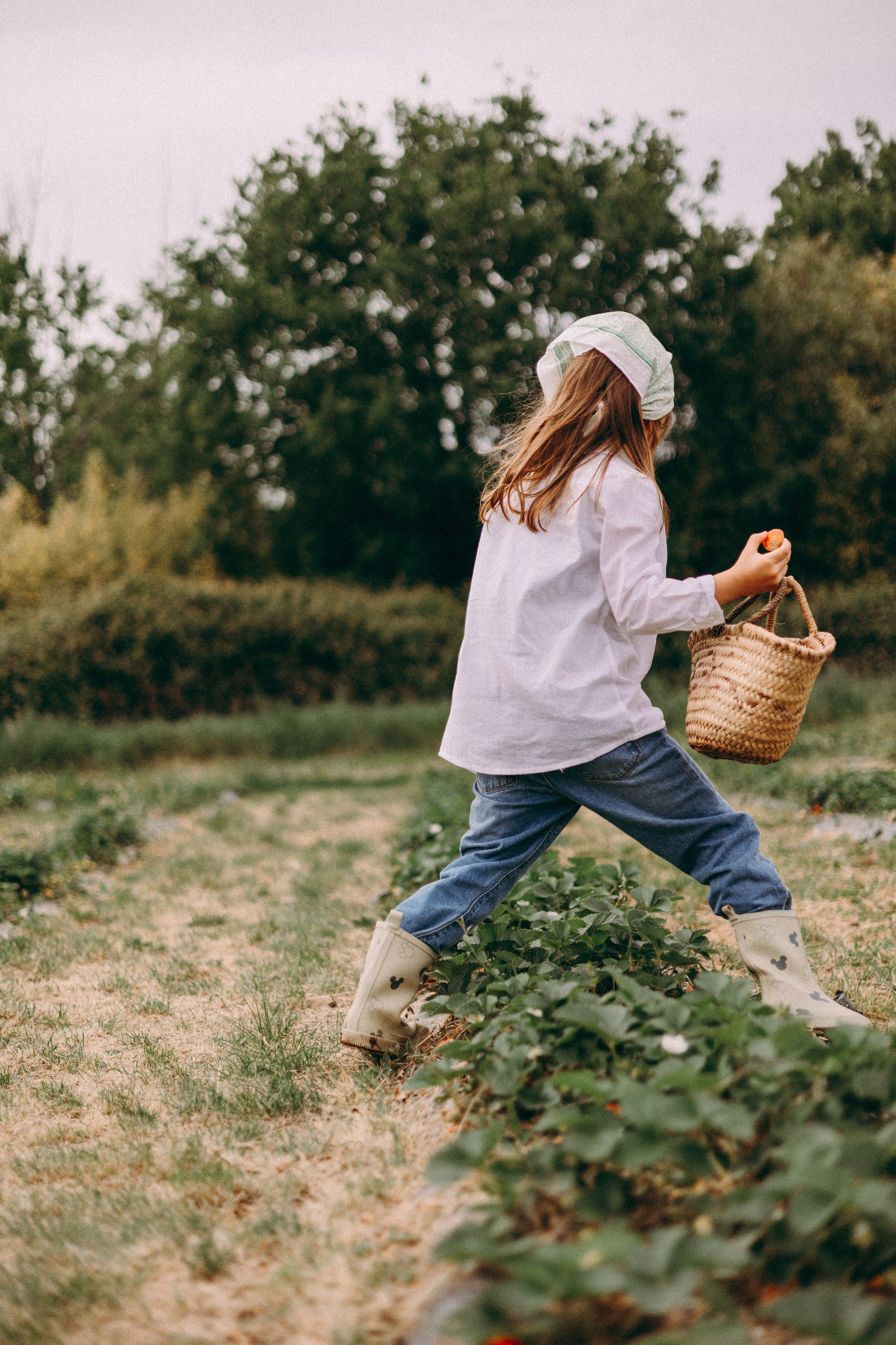Cueilette fraise. Photographe en Côte d’Azur