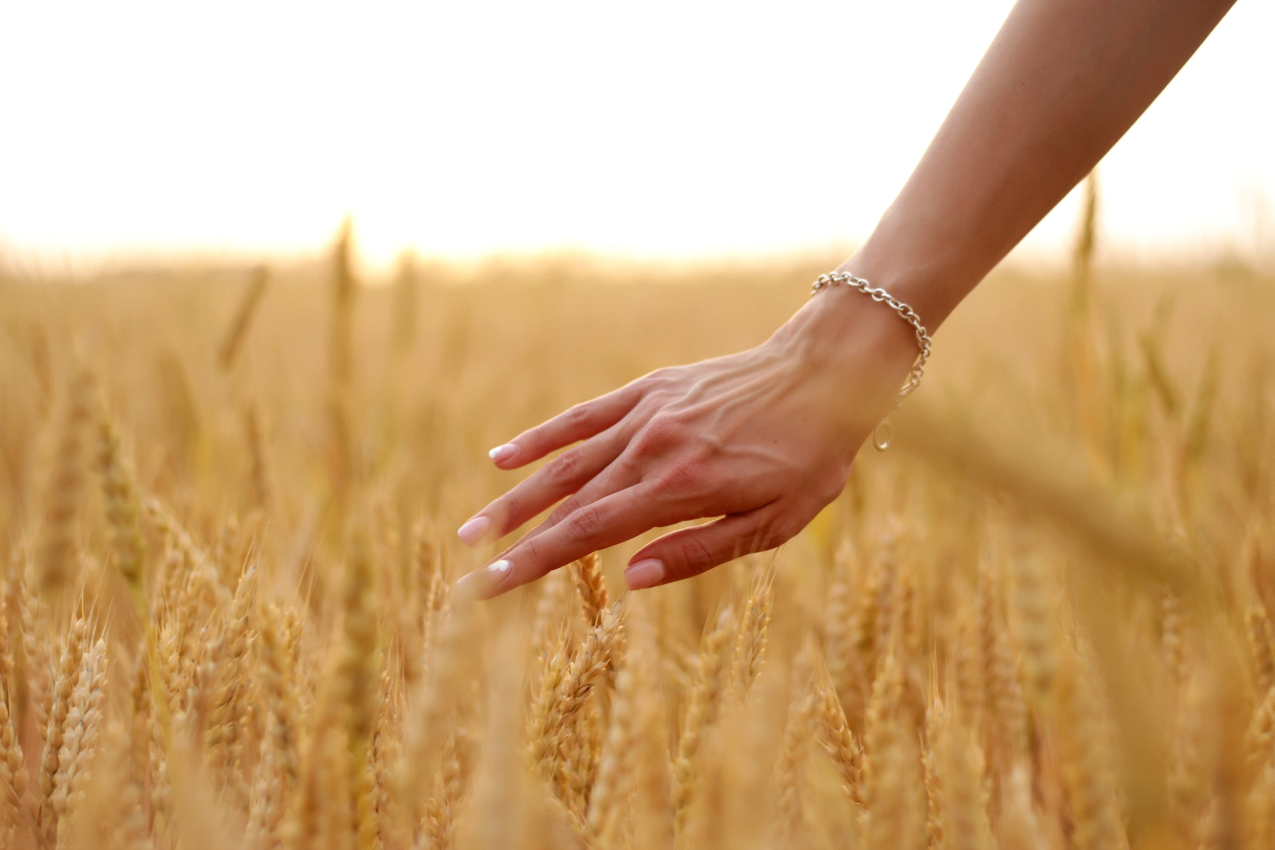 Lifstyle Lesya. Alexia Frame Photographer