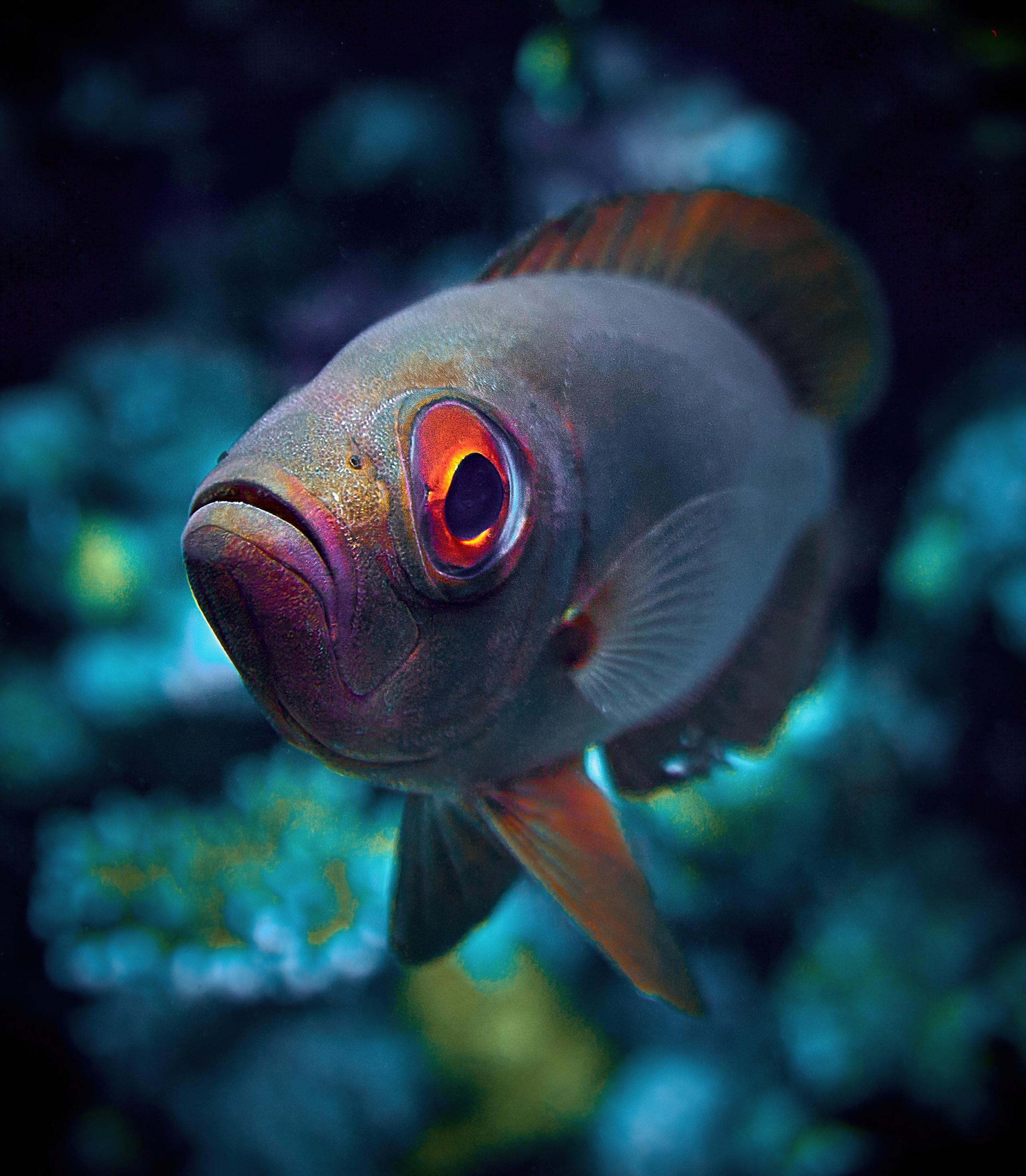 2023-11 - Diving Safari Deep South Egypt. Андрей Шипилов — Фотография & Видеография