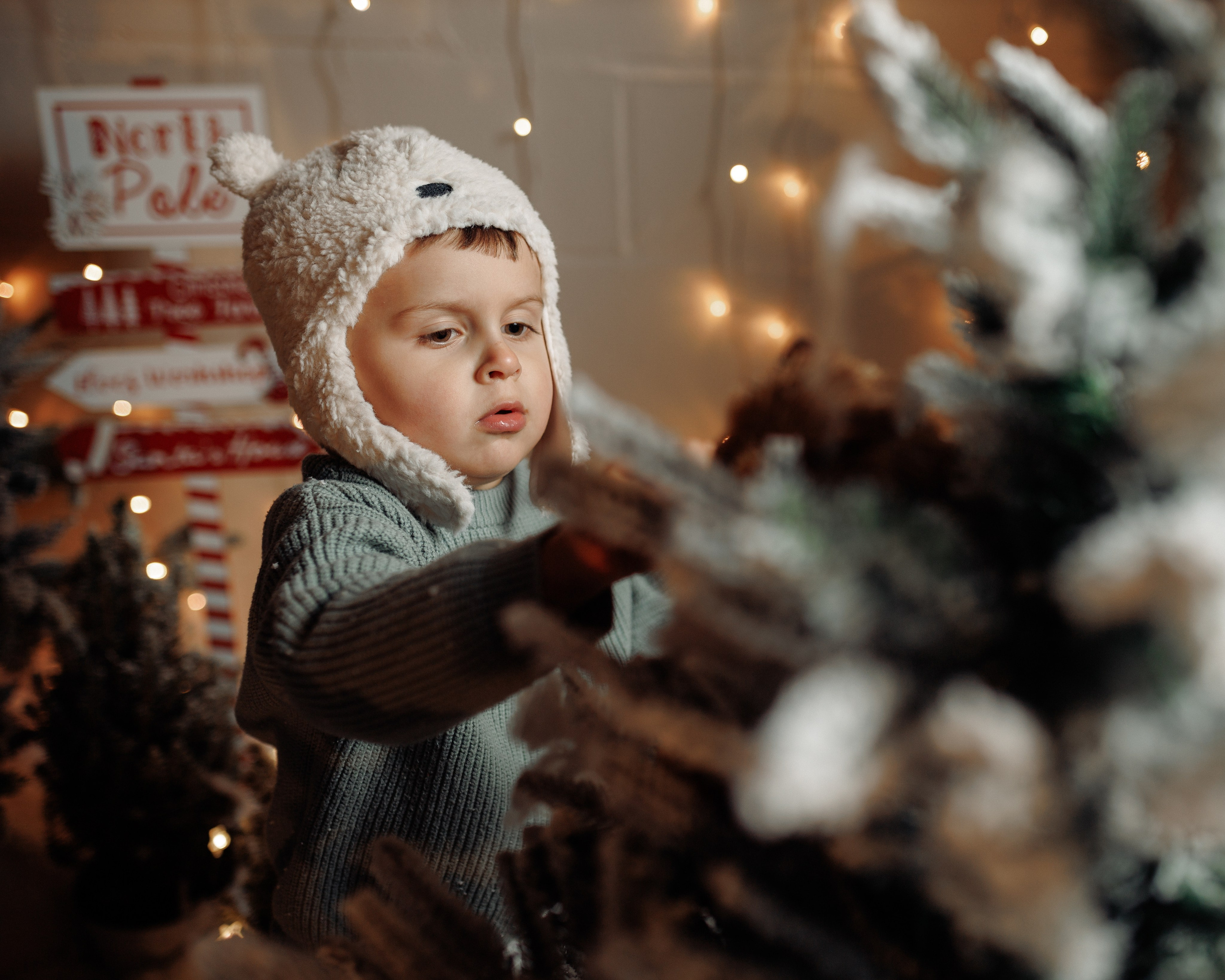 Christmas Time. Https://valphoto.wfolio.pro/