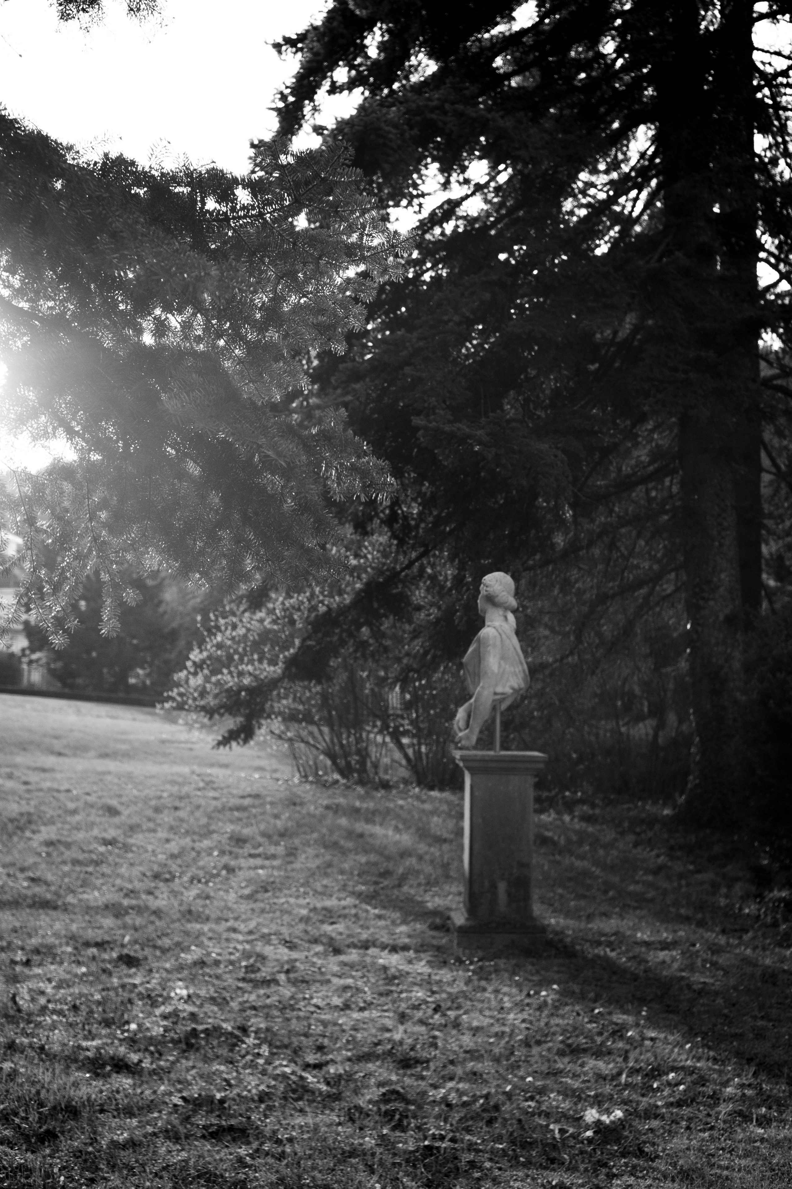 Portreti spoštovanja. Фотограф и видеограф Мария Бортякова из Словении: событийная, портретная и видеосъемка по всей Словении