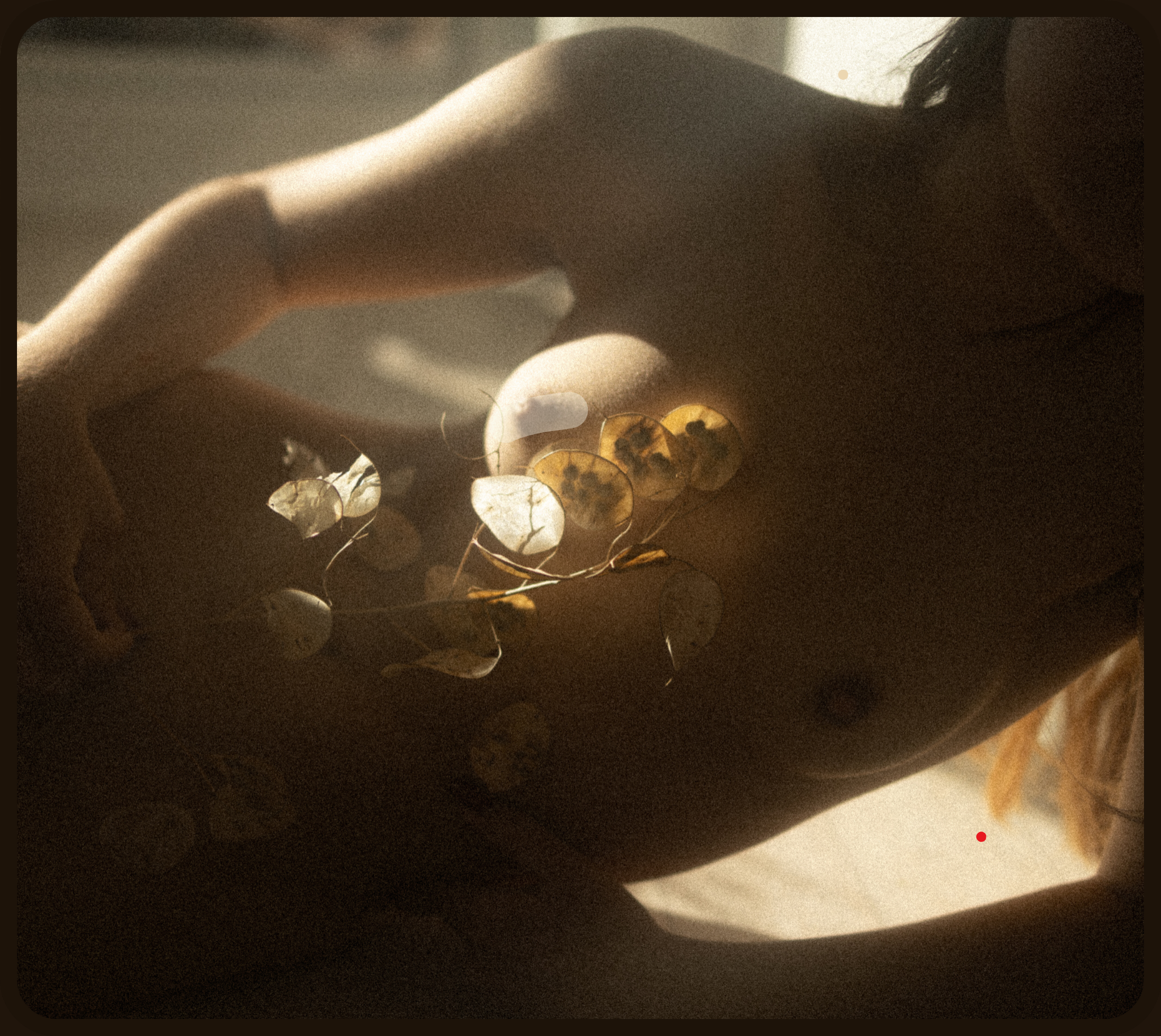 Tokka. Histoires d’amour, séances photos de famille et de mariage en France