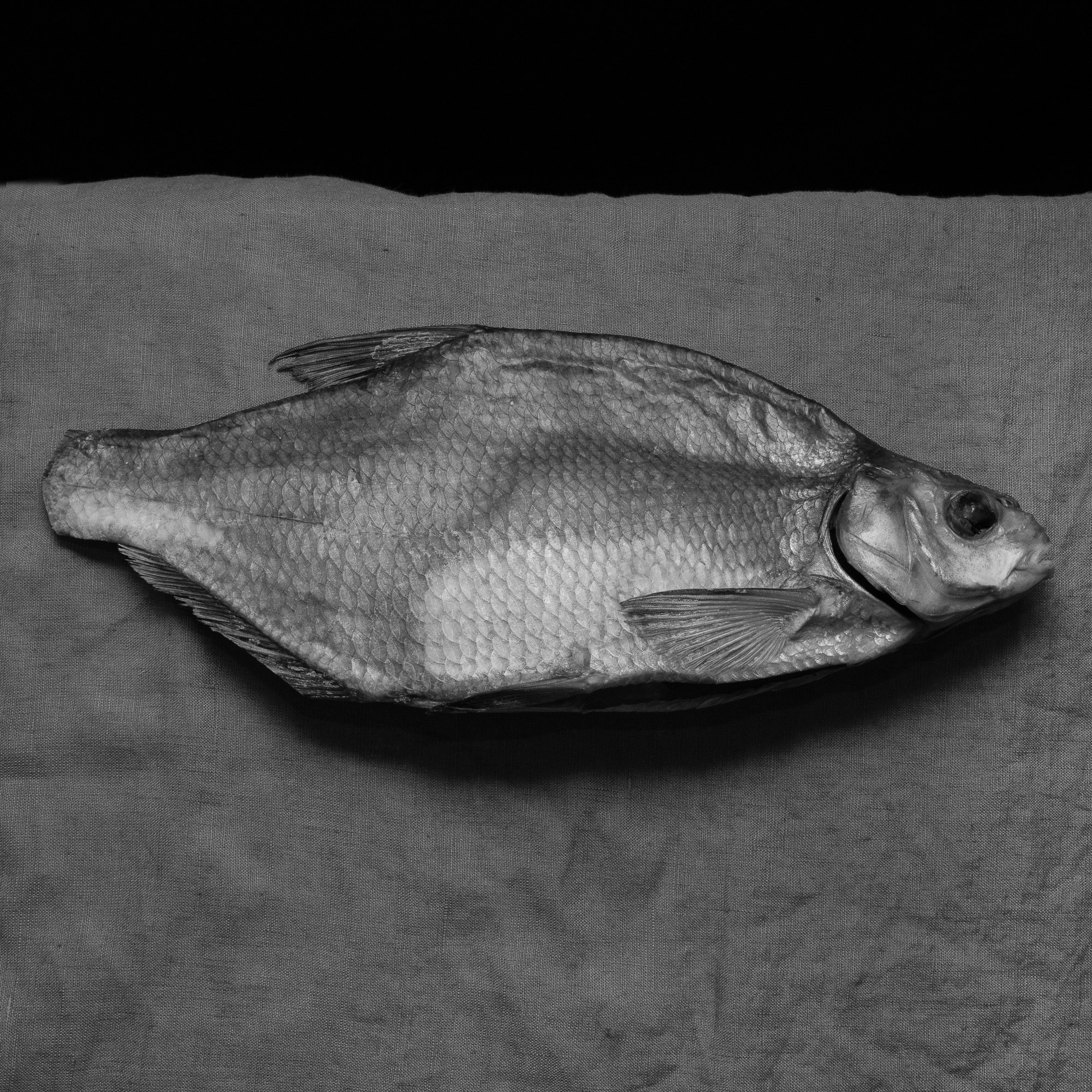 Childhood. Anastasia Musinova