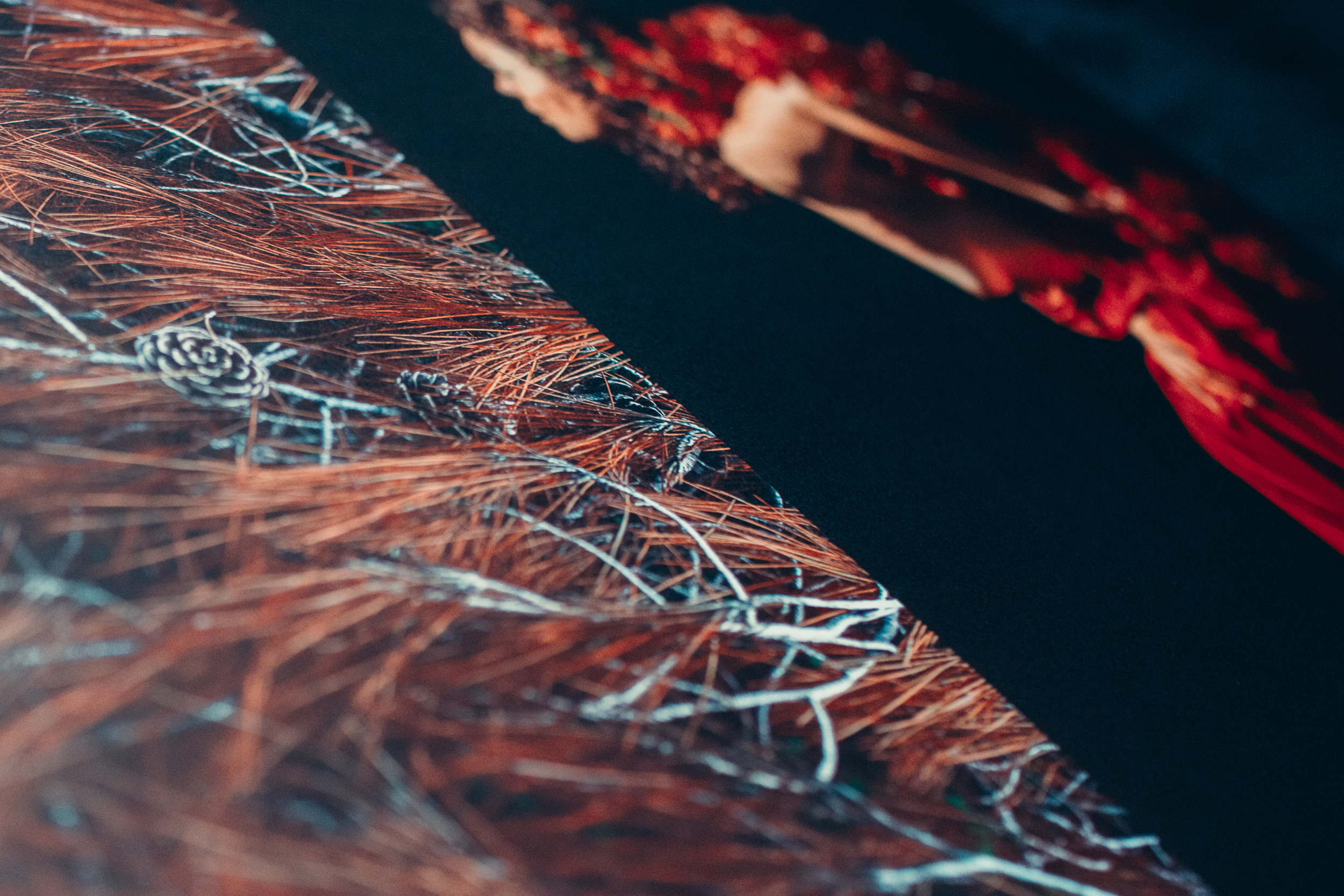 Strength of the Genus. Lolly Shine. Contemporary digital artist