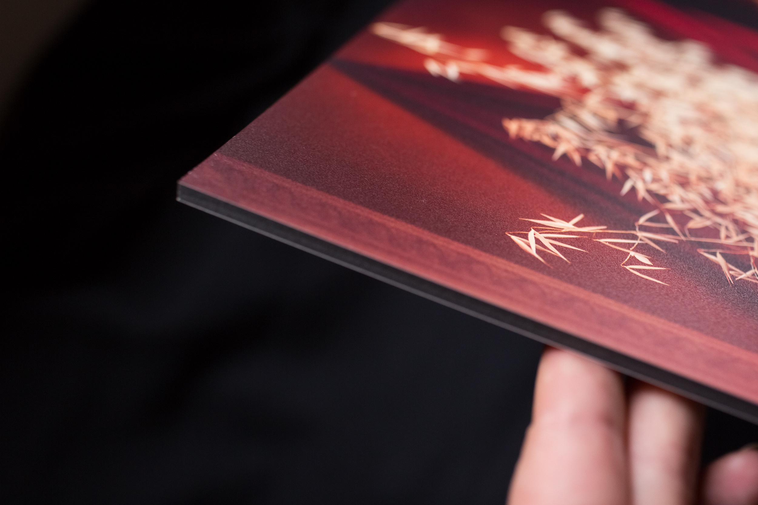 Woman “Summer”. Lolly Shine. Contemporary digital artist