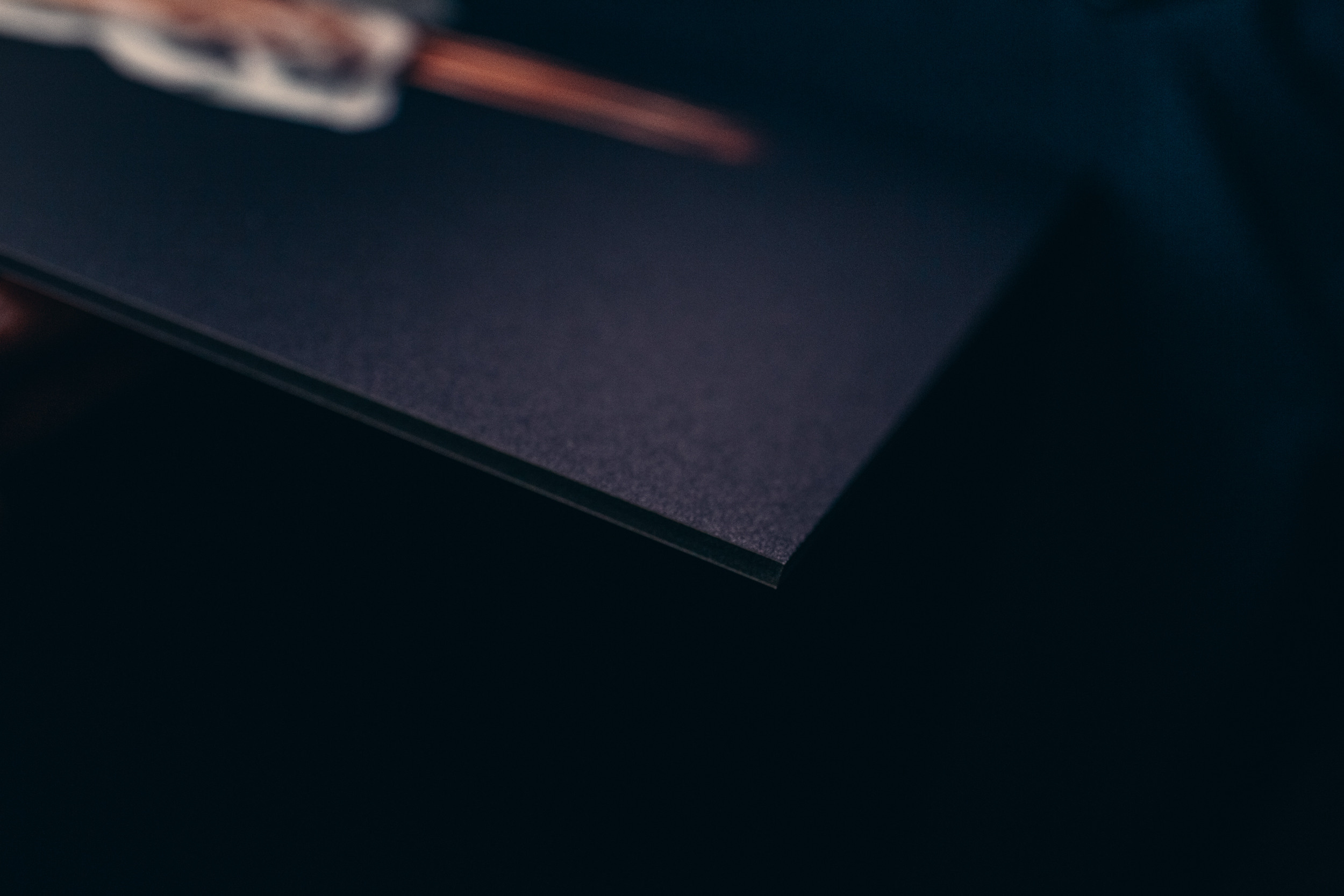 Flying against all odds. Lolly Shine. Contemporary digital artist