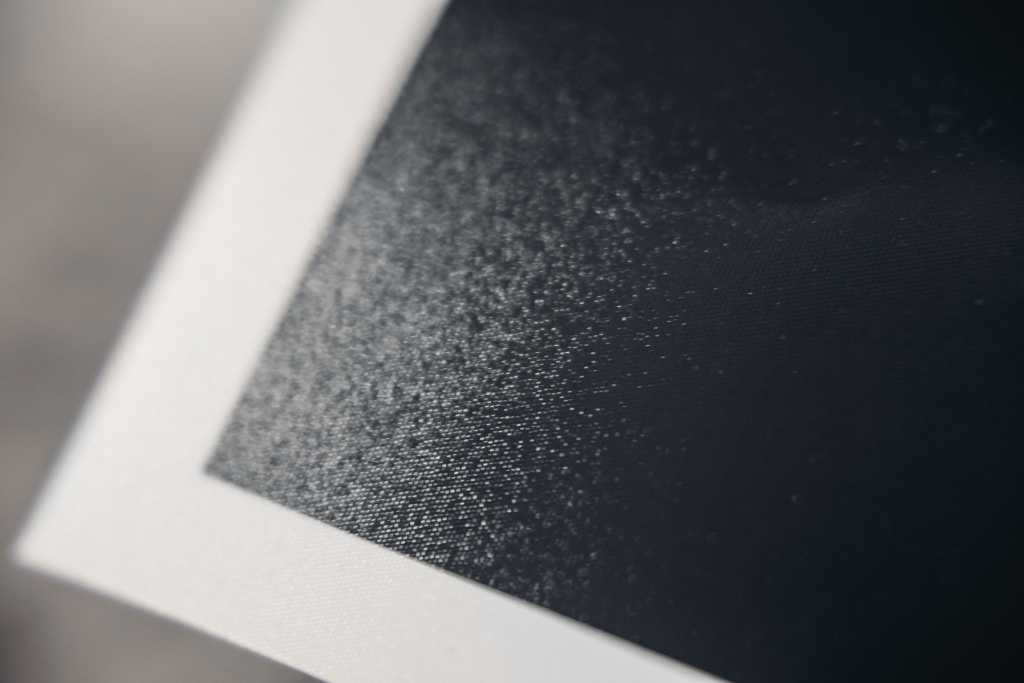 Freedom. Lolly Shine. Contemporary digital artist