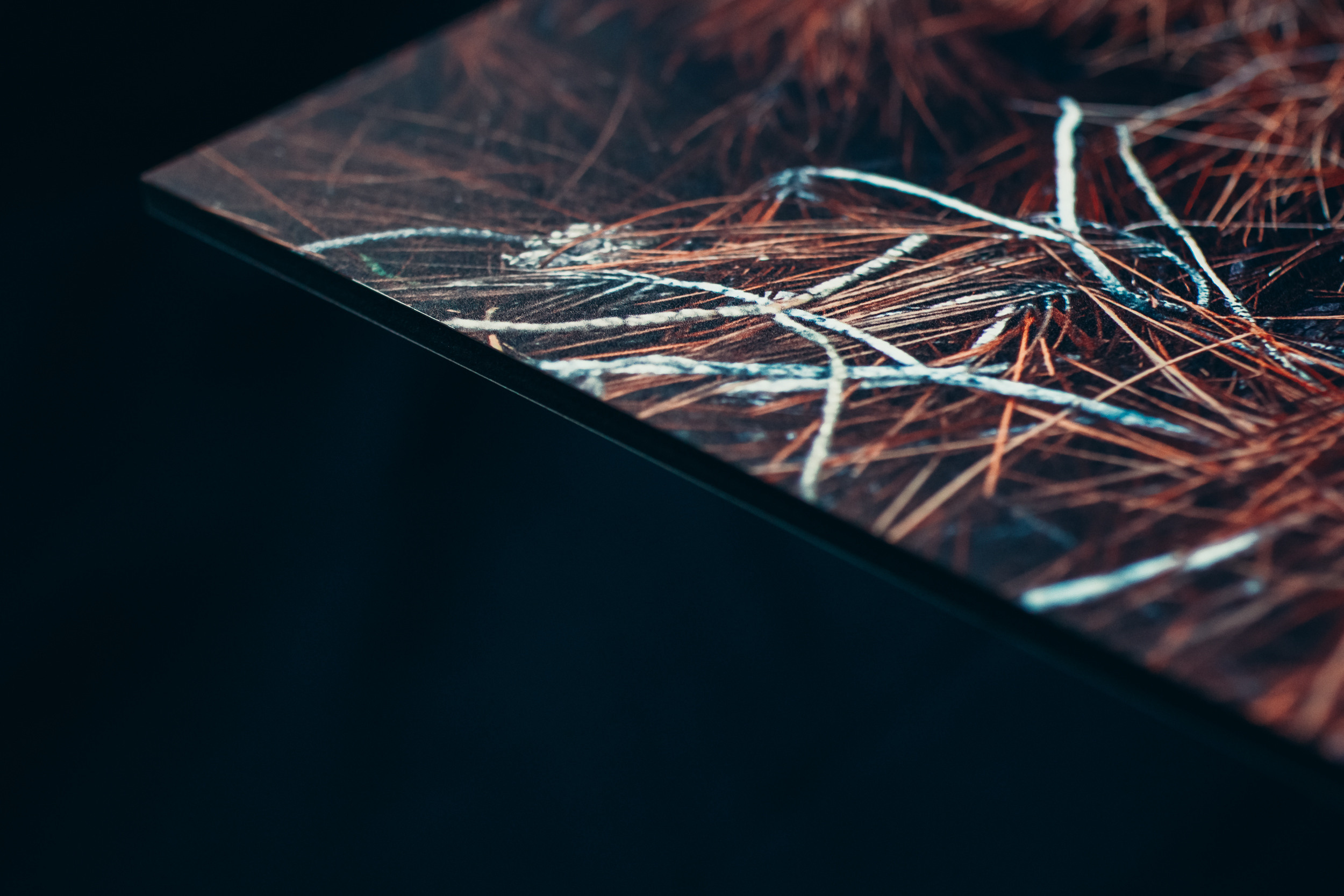 Strength of the Genus. Lolly Shine. Contemporary digital artist