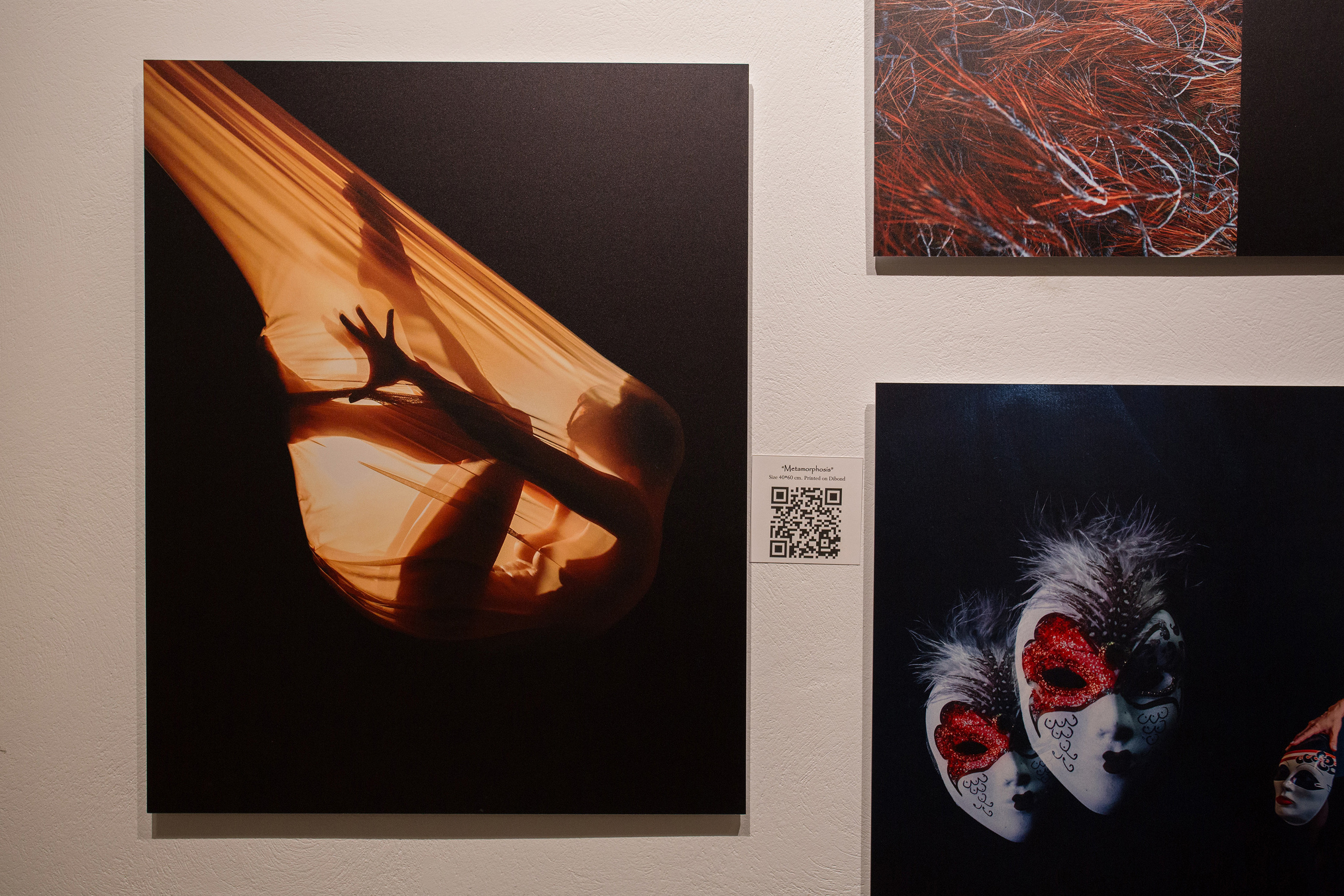 Metamorphosis. Lolly Shine. Contemporary digital artist