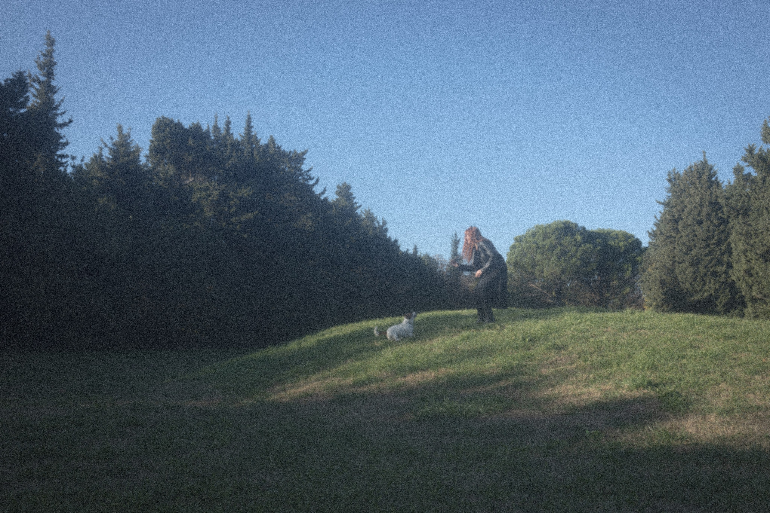 Sunrise. Histoires d’amour, séances photos de famille et de mariage en France