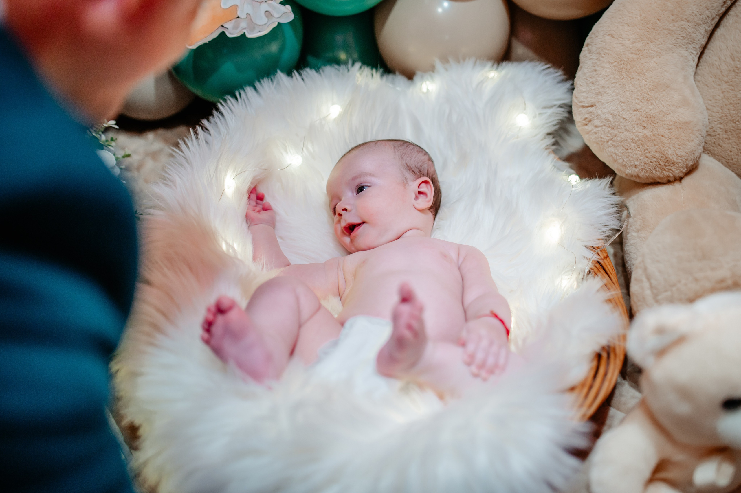 Botez Eduard. Ionut Birceanu