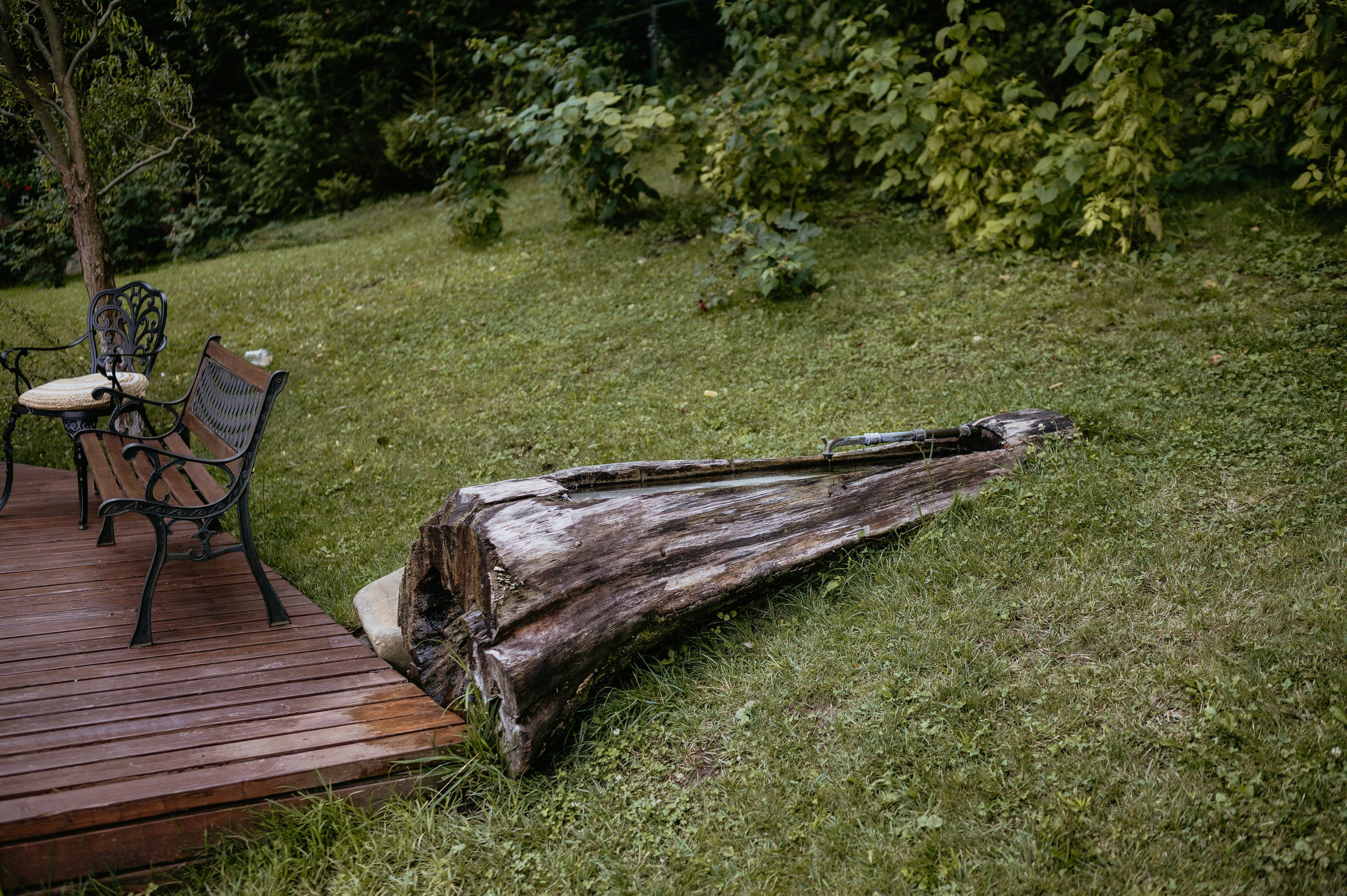Flavio si Sarona. Valentin Melen - fotograf de nunta 🤍