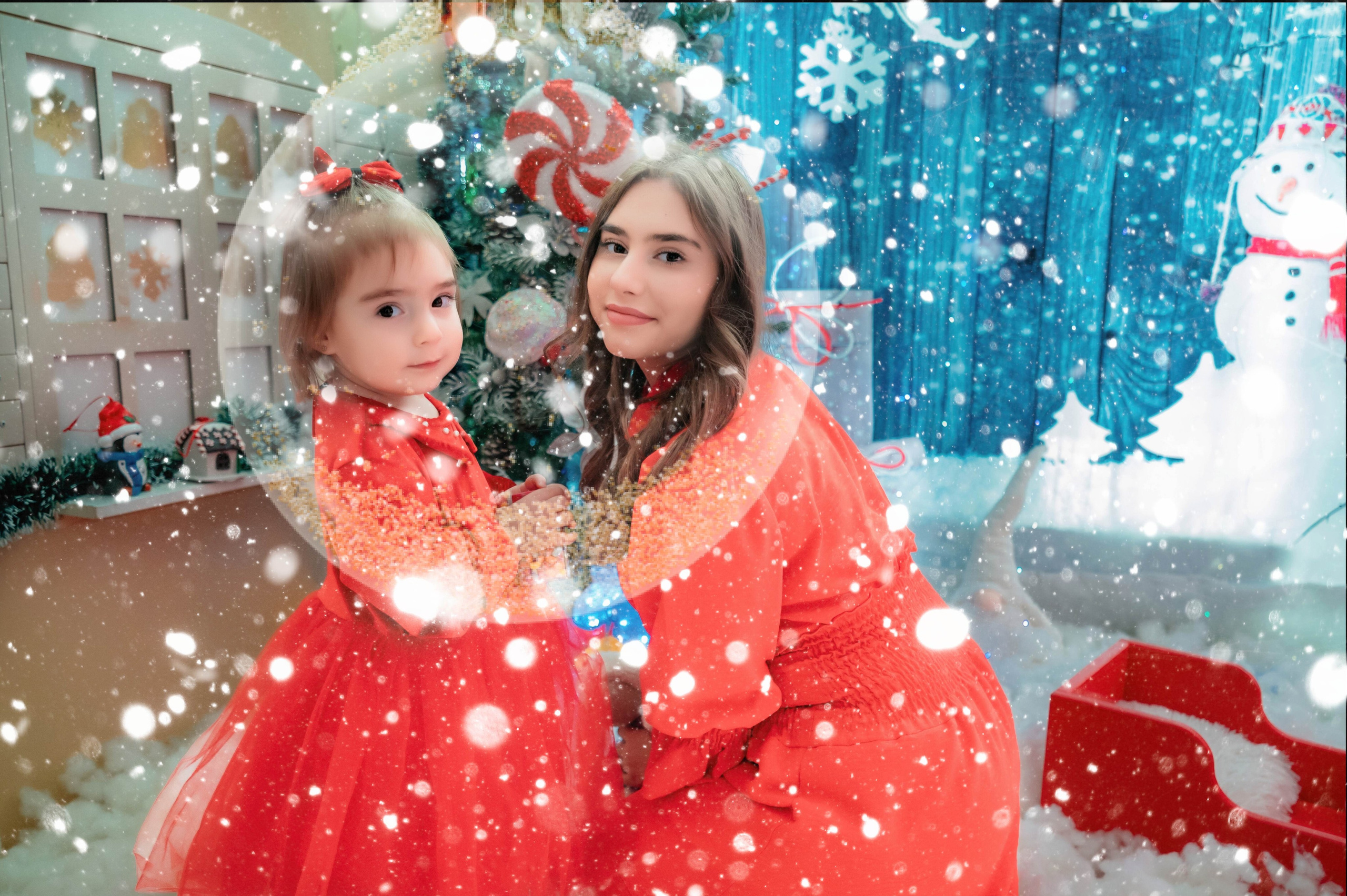 Sedinta Craciun Nicoleta