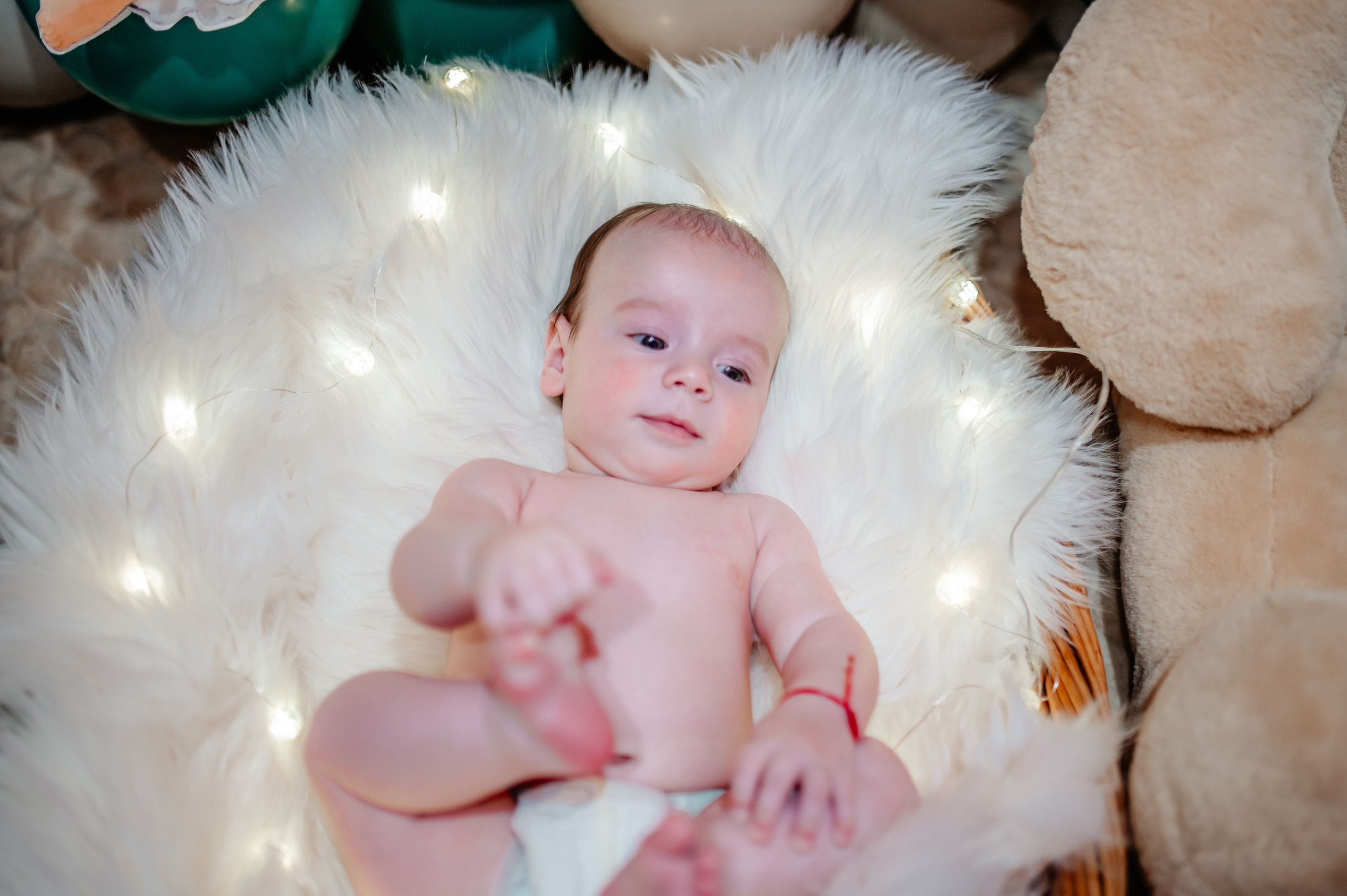 Botez Eduard. Ionut Birceanu