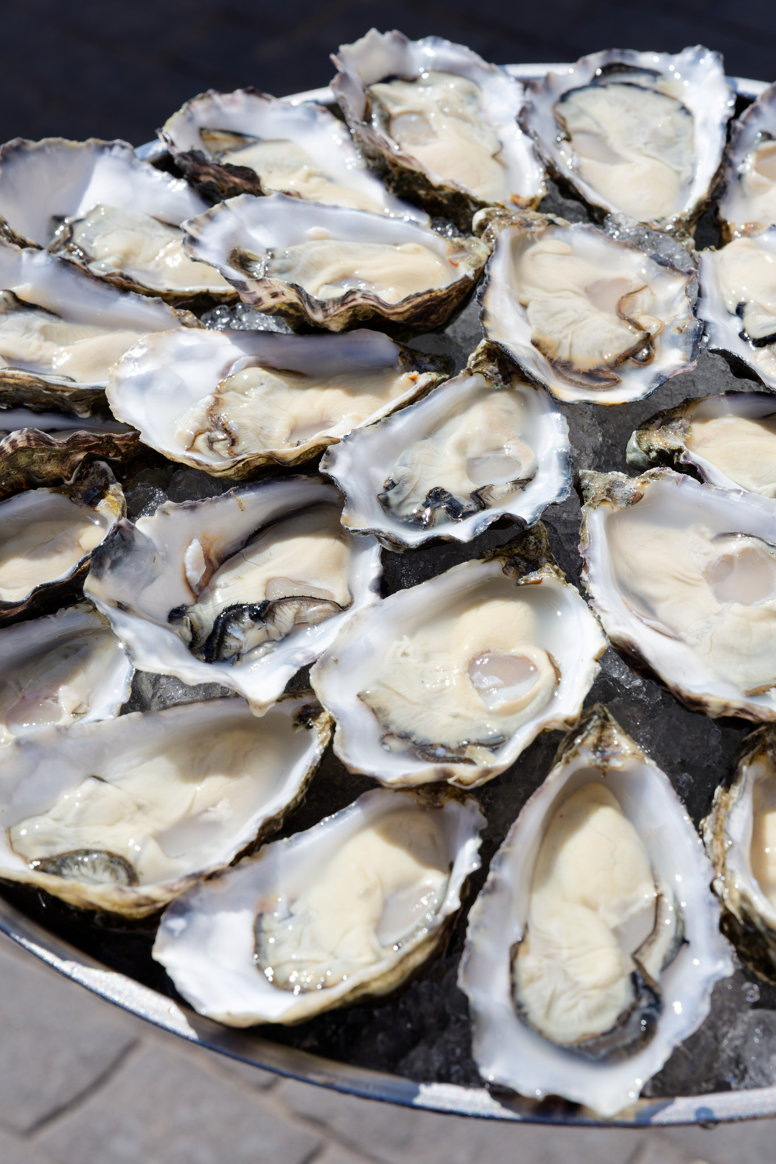 Wedding at Gran Villa Rosa, Barcelona, Spain Preview