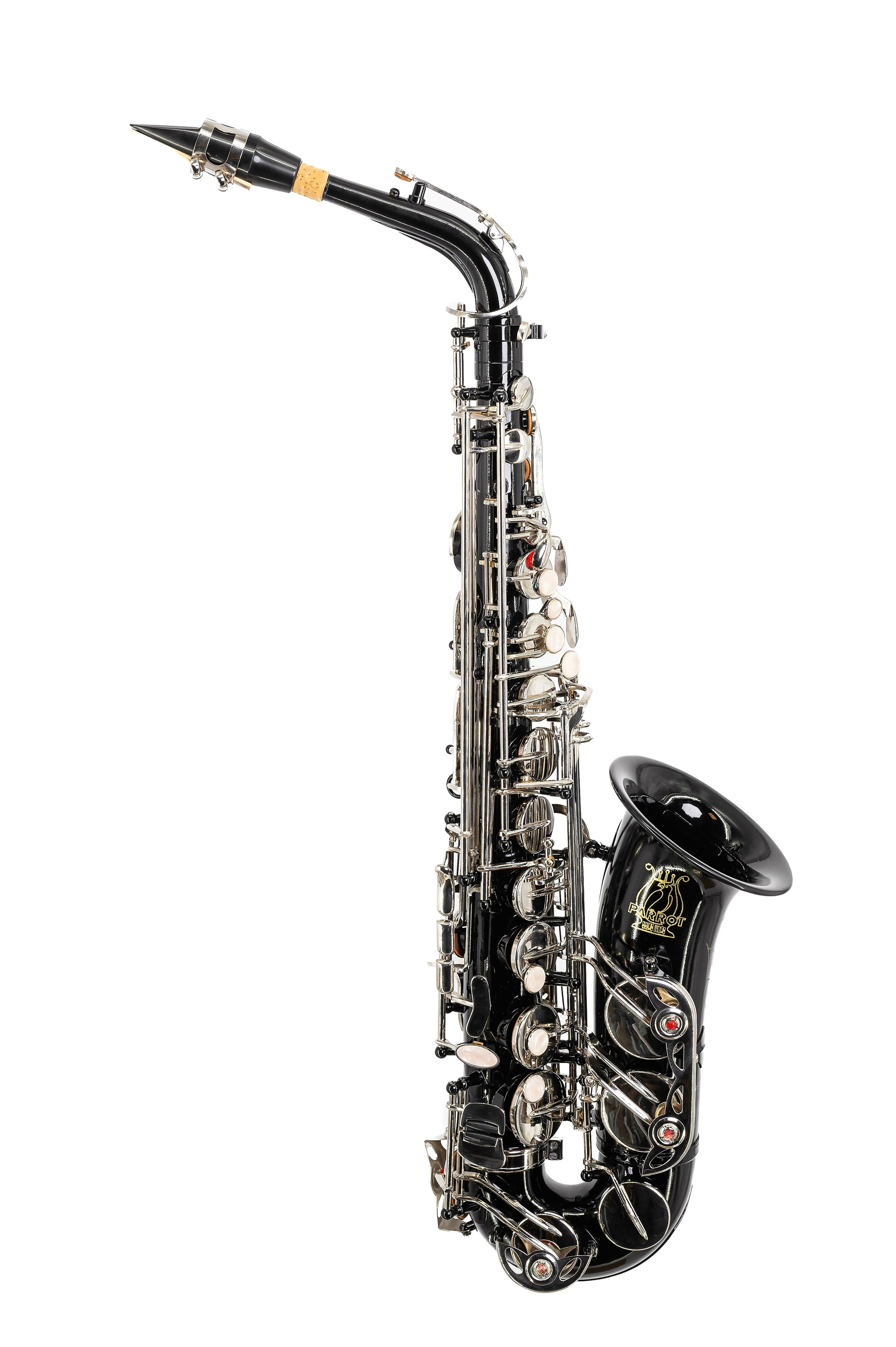 Produs. George Boicu — Fotograf — Gura Humorului