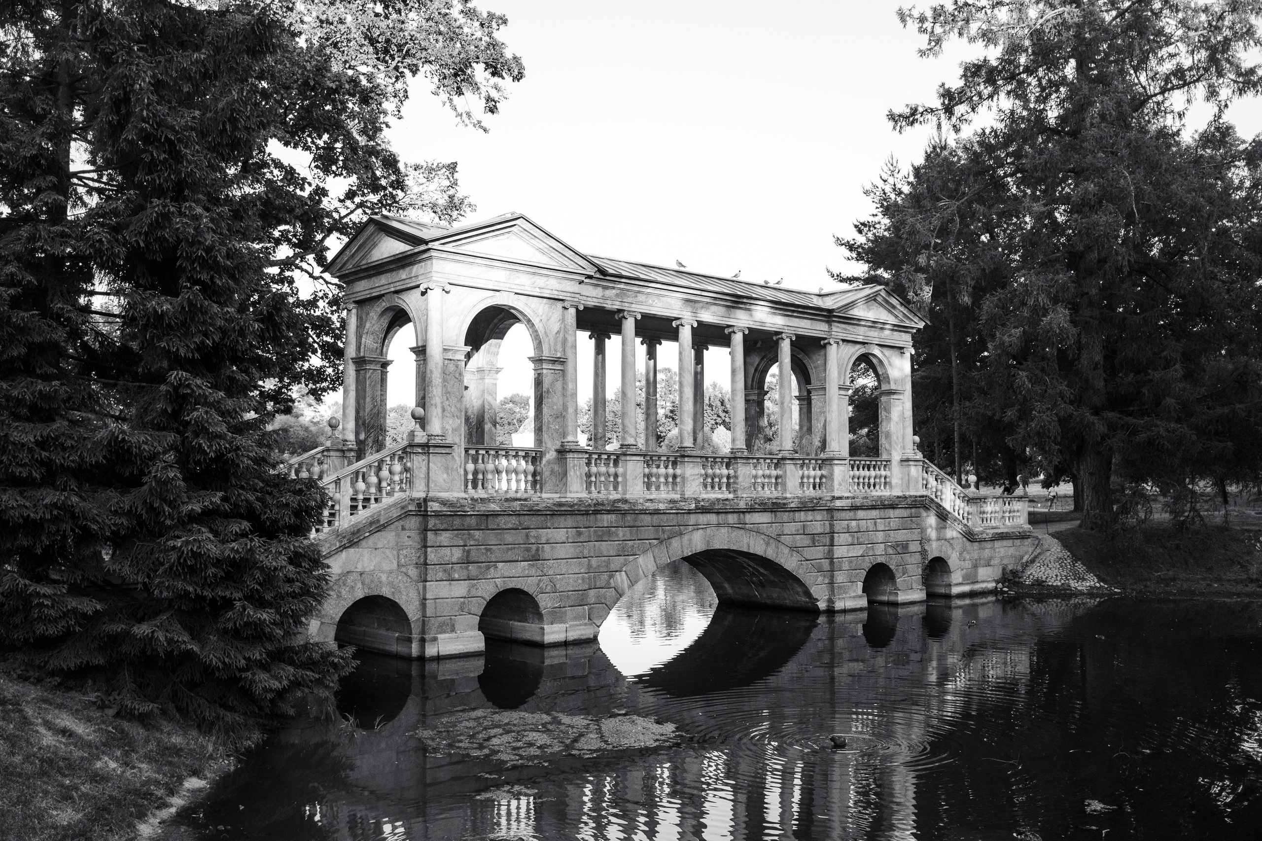 St Petersburg. Fotografinja in videografinja Mariia Bortiakova iz Slovenije: fotografiranje dogodkov, portretov in snemanje videov po vsej Sloveniji