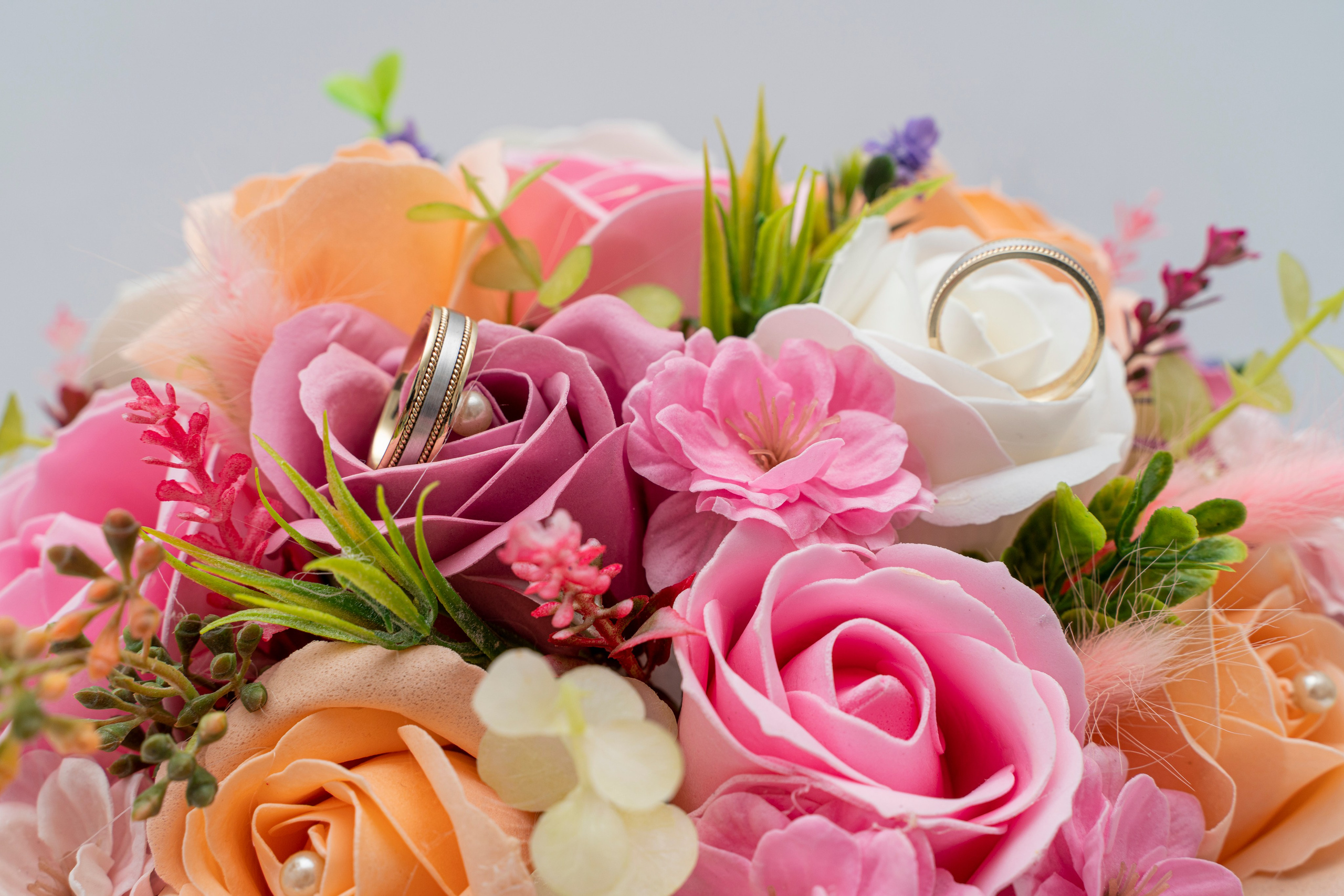 Fotograf Profesionist si Videomaker