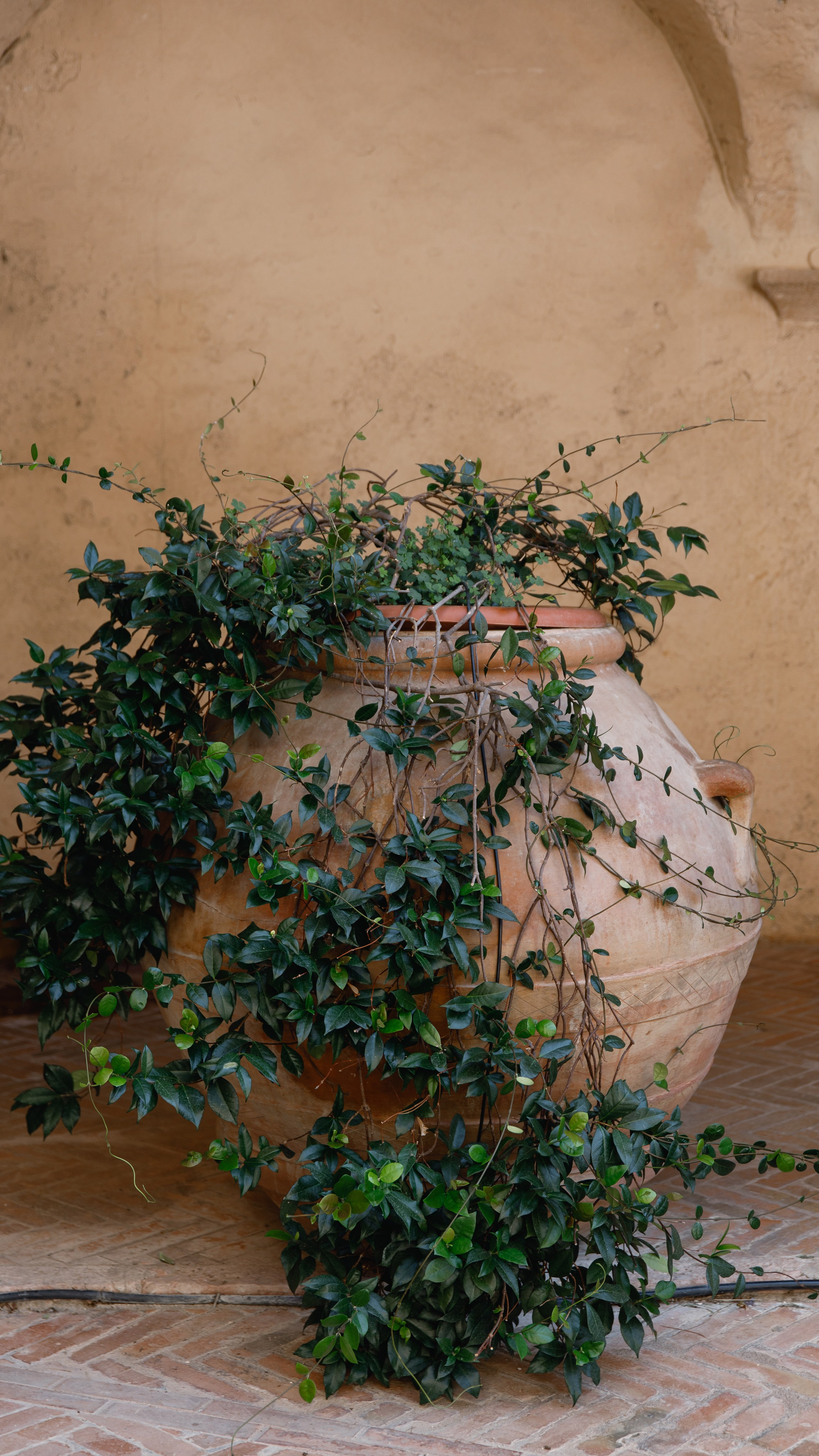 Wedding photographer Italy Rome, Tuscany, Lake Como, Sicily, Puglia. Wedding Photographer Rome Tuscany Como Sicily Puglia Amalfy Italy- Oksana Savenchuk