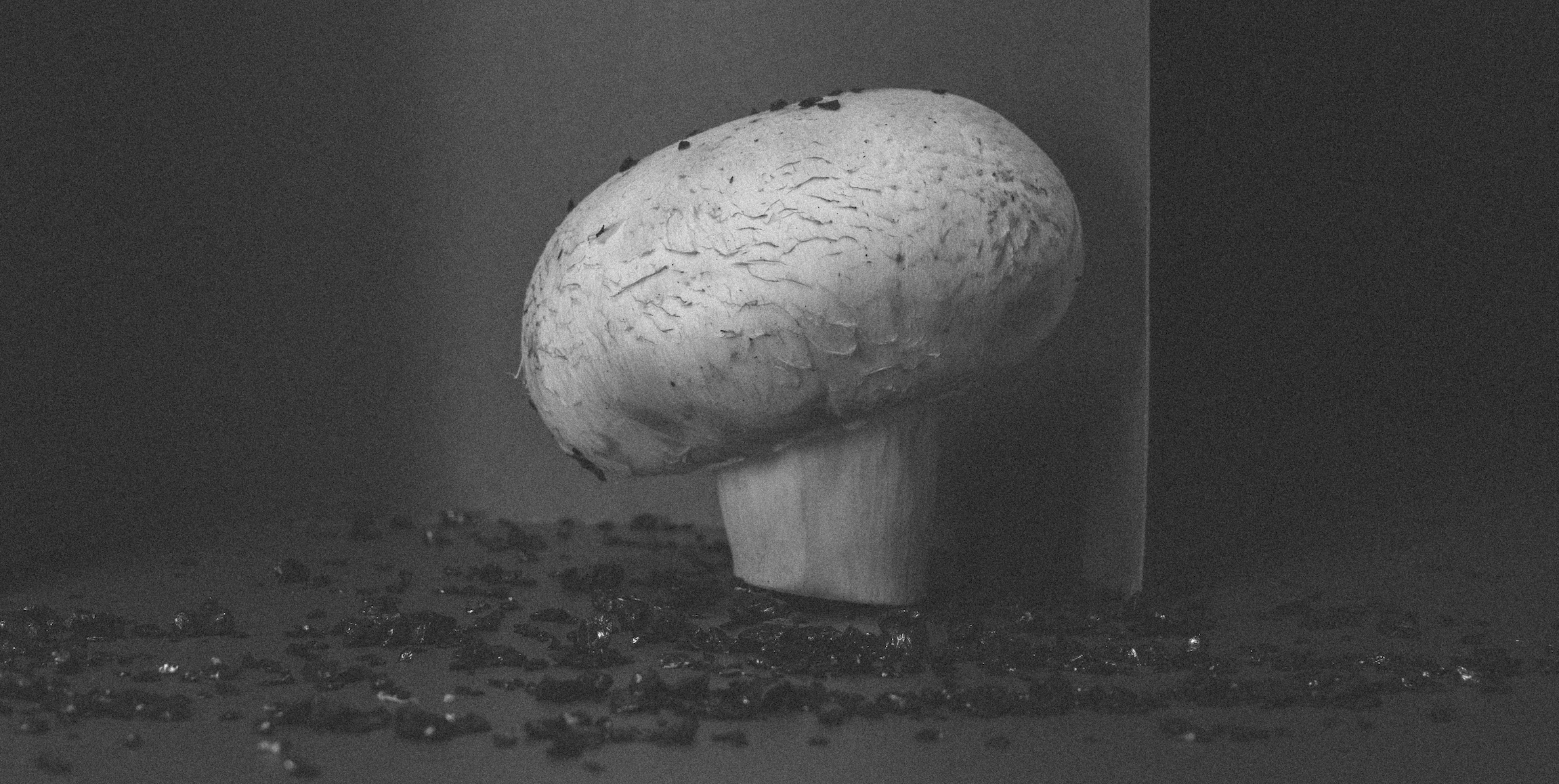 Factory (2023). Антонова | фото