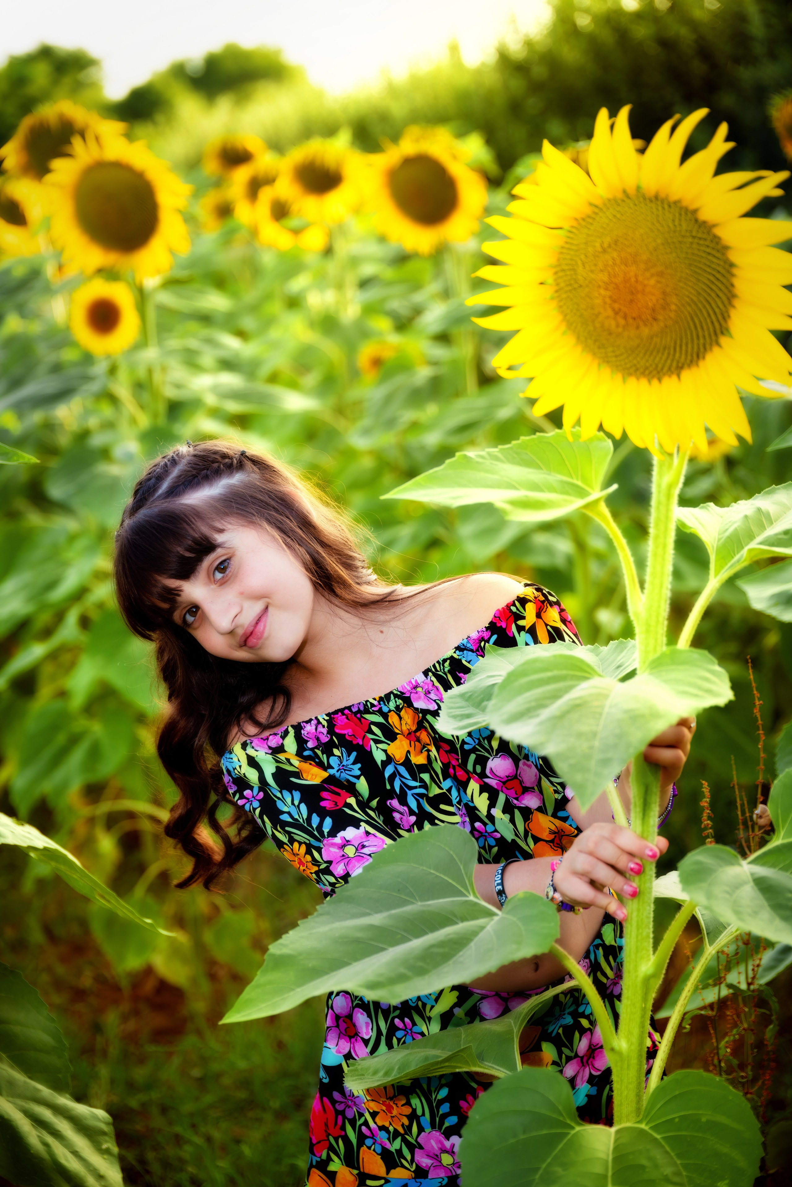 Campo di Girasole. Fotografo di famiglia
