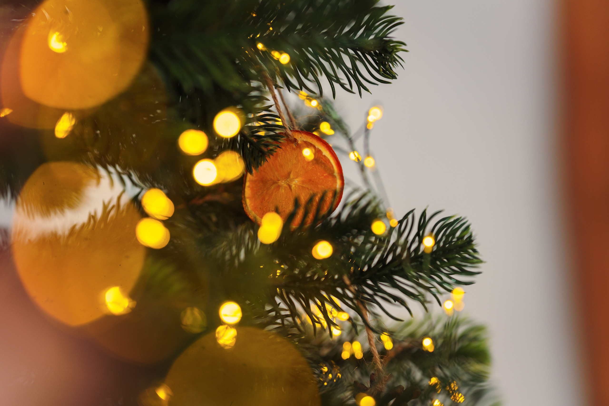 Decor Craciun 2023. Raw Studio. Fotograful tau de nunta!