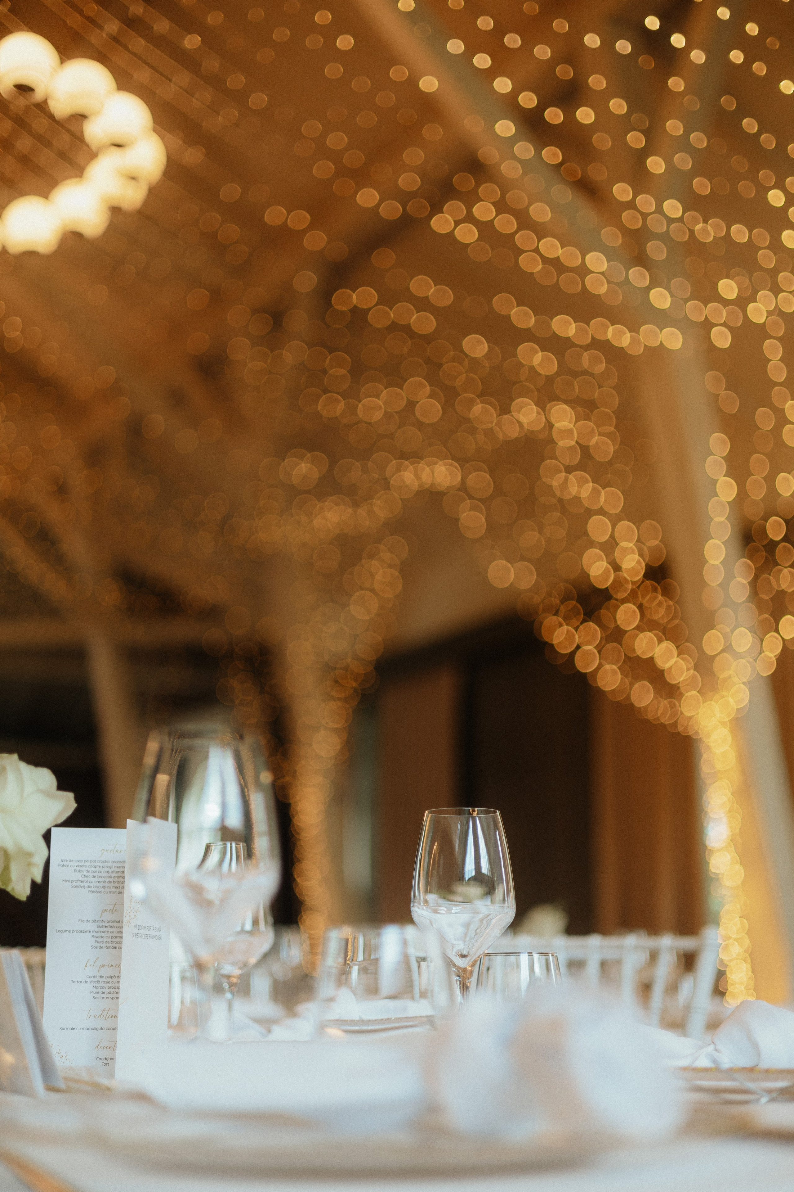 Wedding Larisa & Alin. Ionutdraganfoto.com