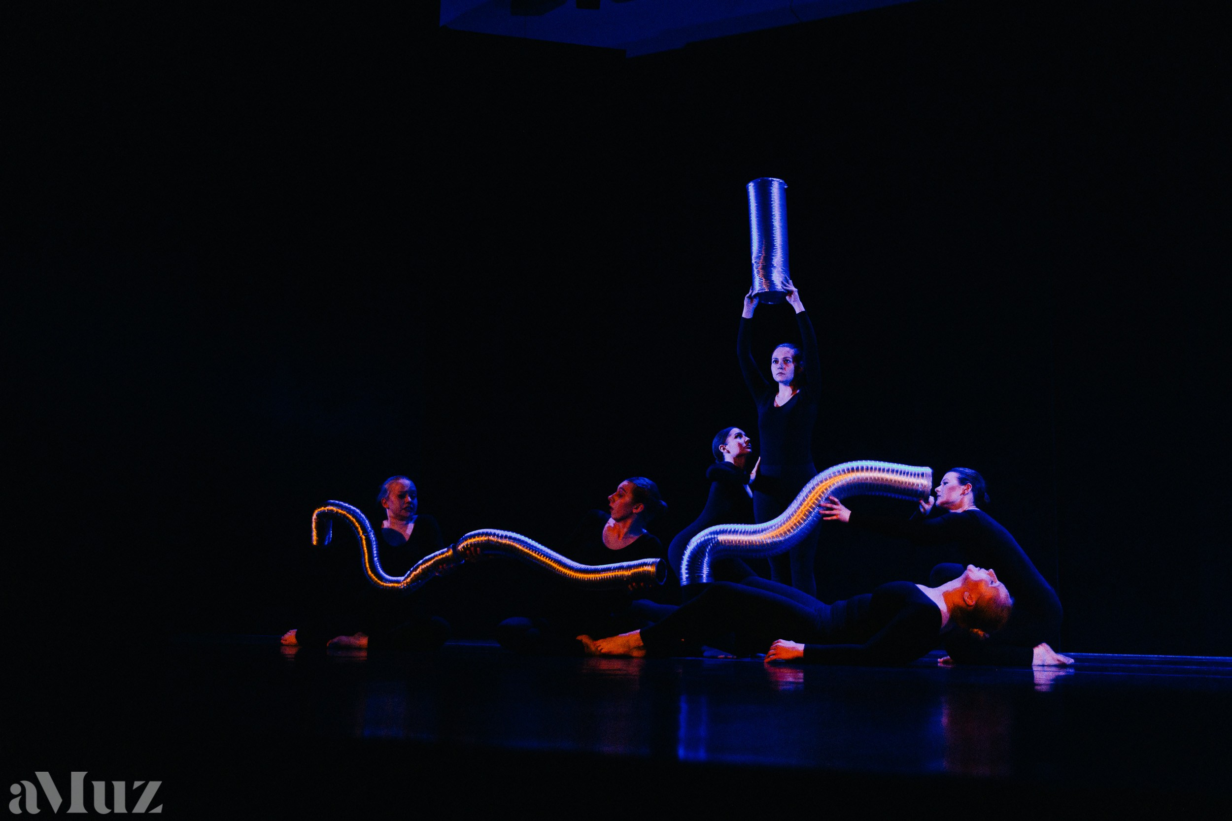 Rytmika. Fotograf Ślubny Warszawa - Sesje Biznesowe Rodzinne Eventy