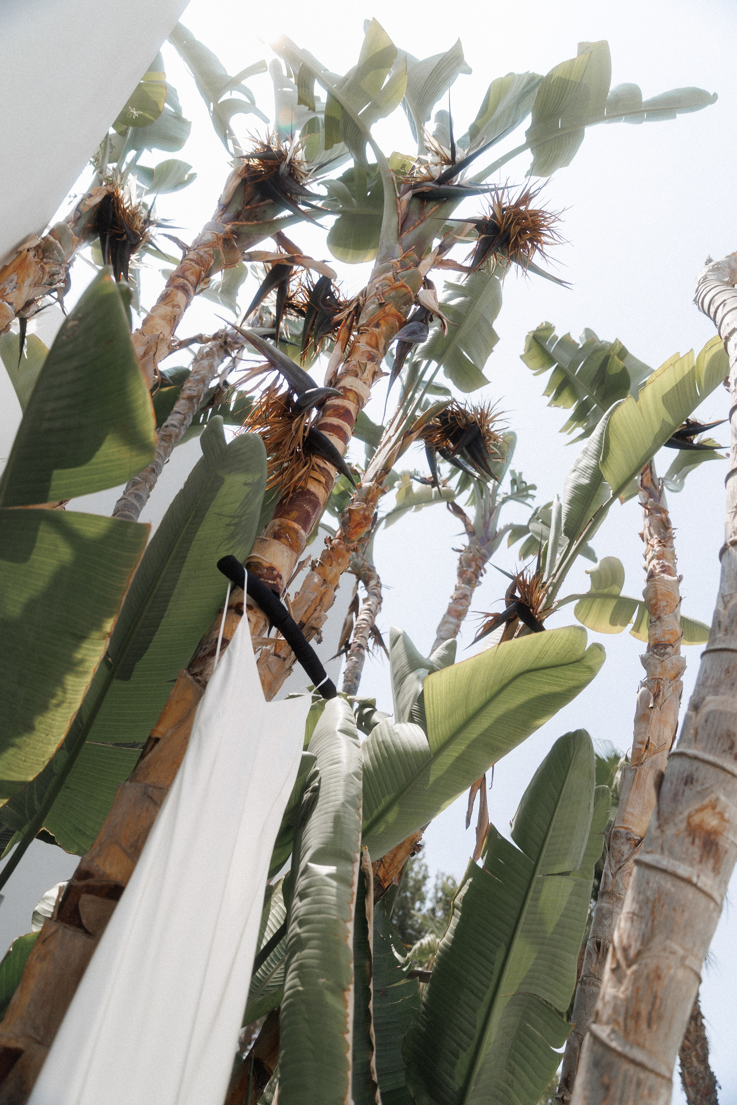 Camilla & Mirko. Sabina Ibiza. Paola fotógrafo / videografo de bodas en Barcelona
