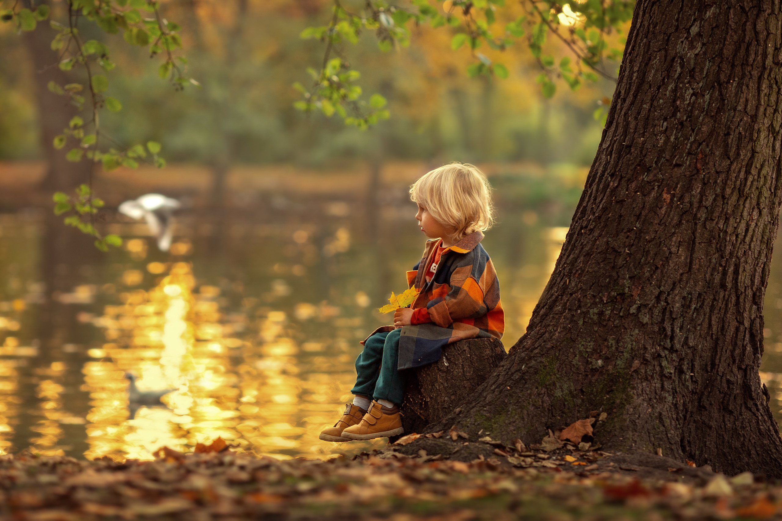 Дети. Семейный и детский фотограф в Варшаве Мила Бобровская