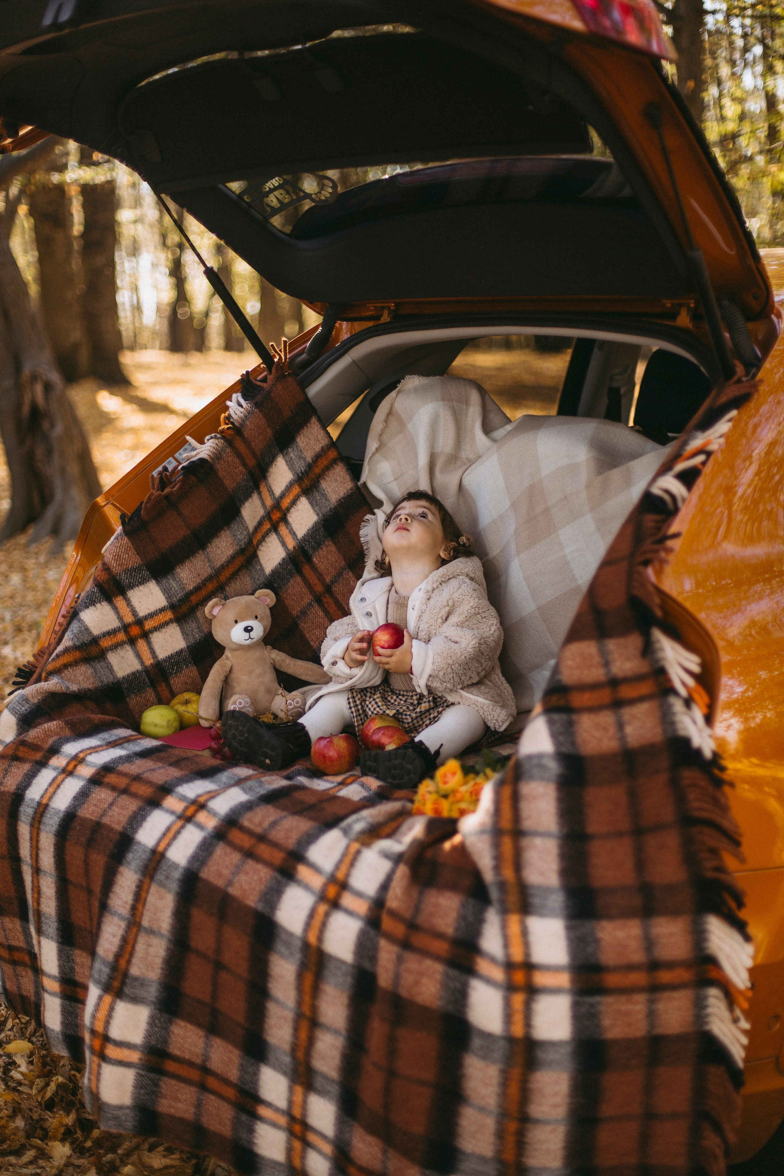 Pricop. Fotograf București, România