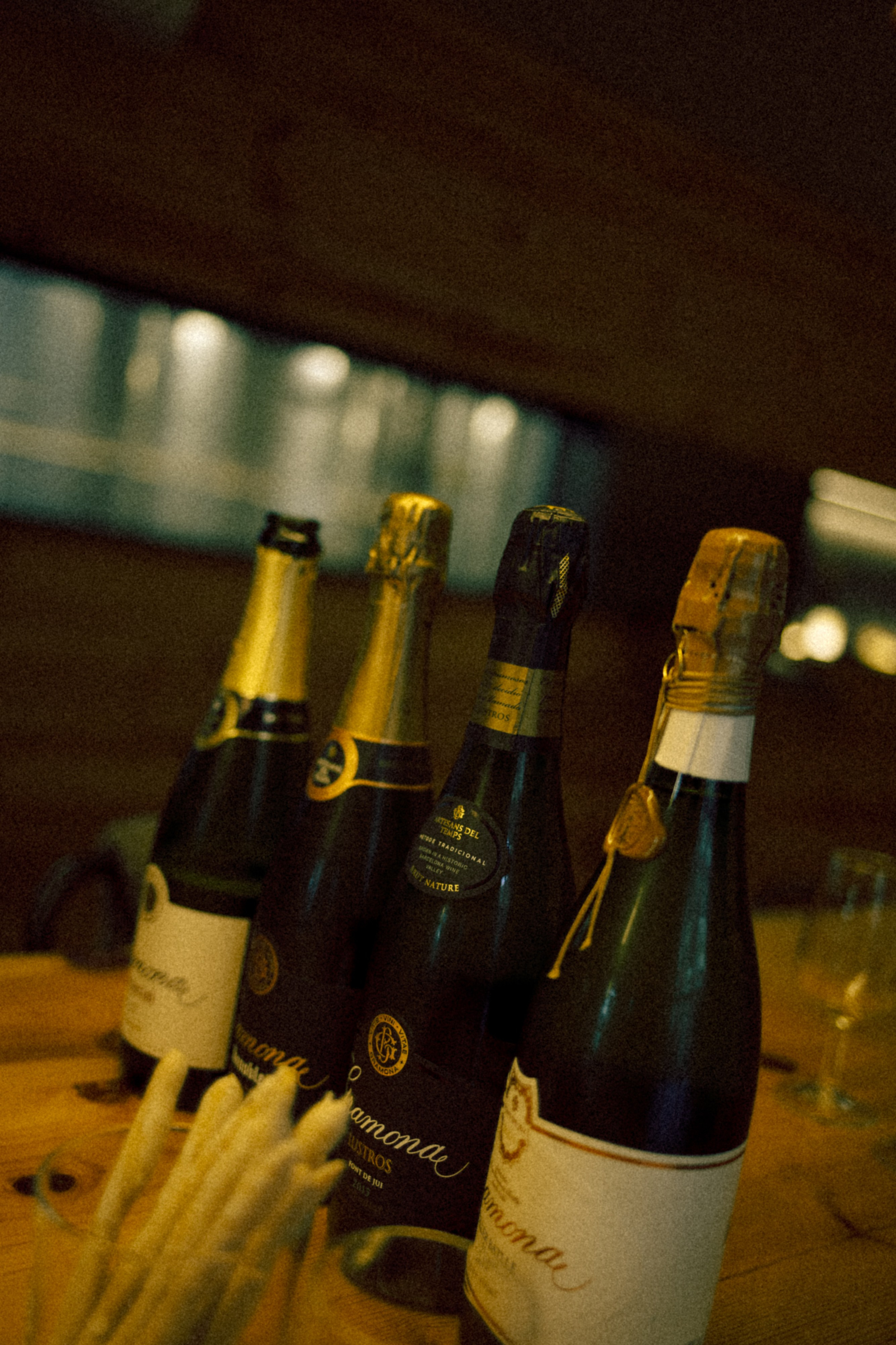 Mi cumpleaños y la bodega. Marina Kálcheva – Photographer, Videographer & Visual Artist in Barcelona