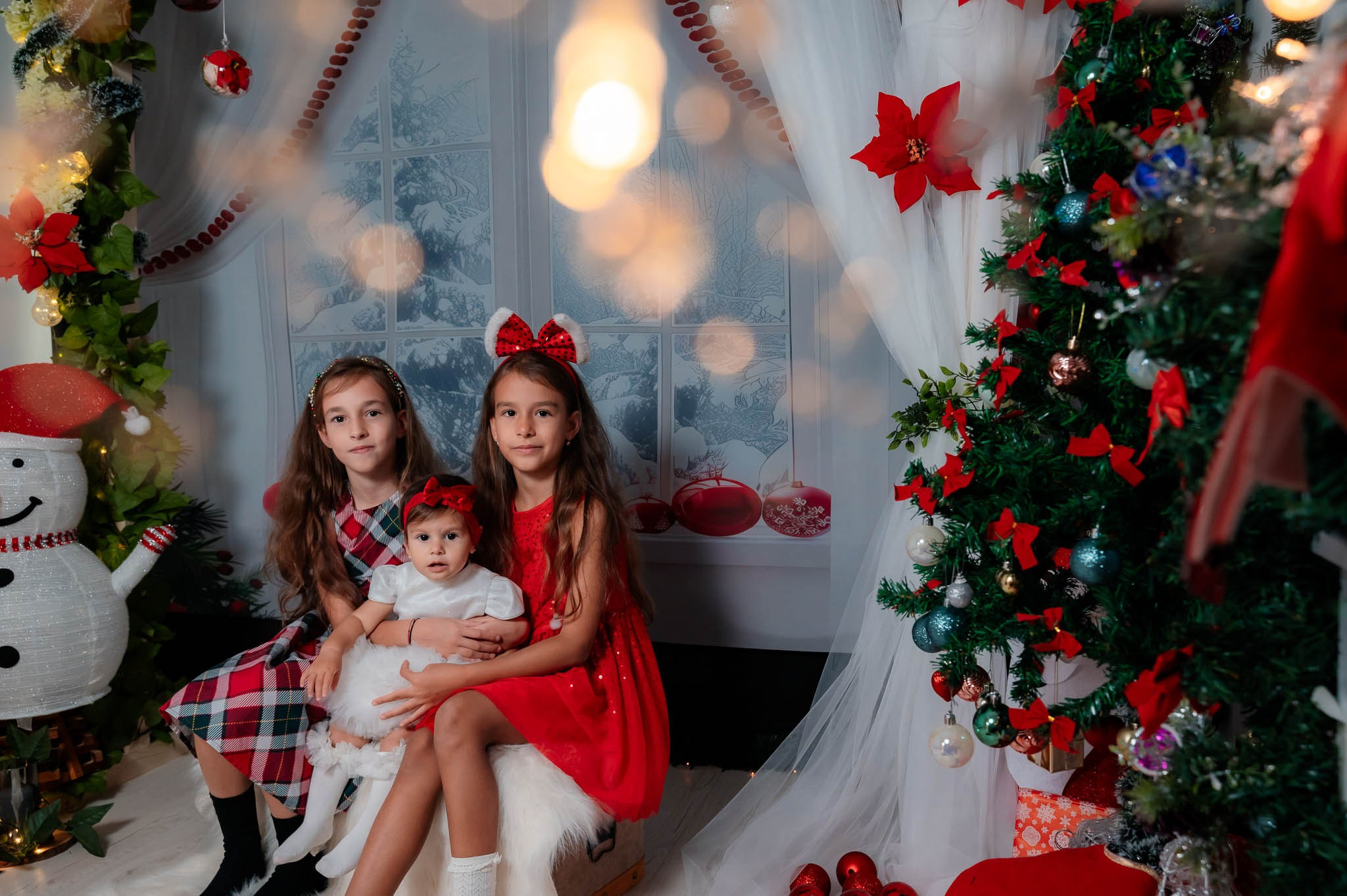 Sedinta Craciun Alina