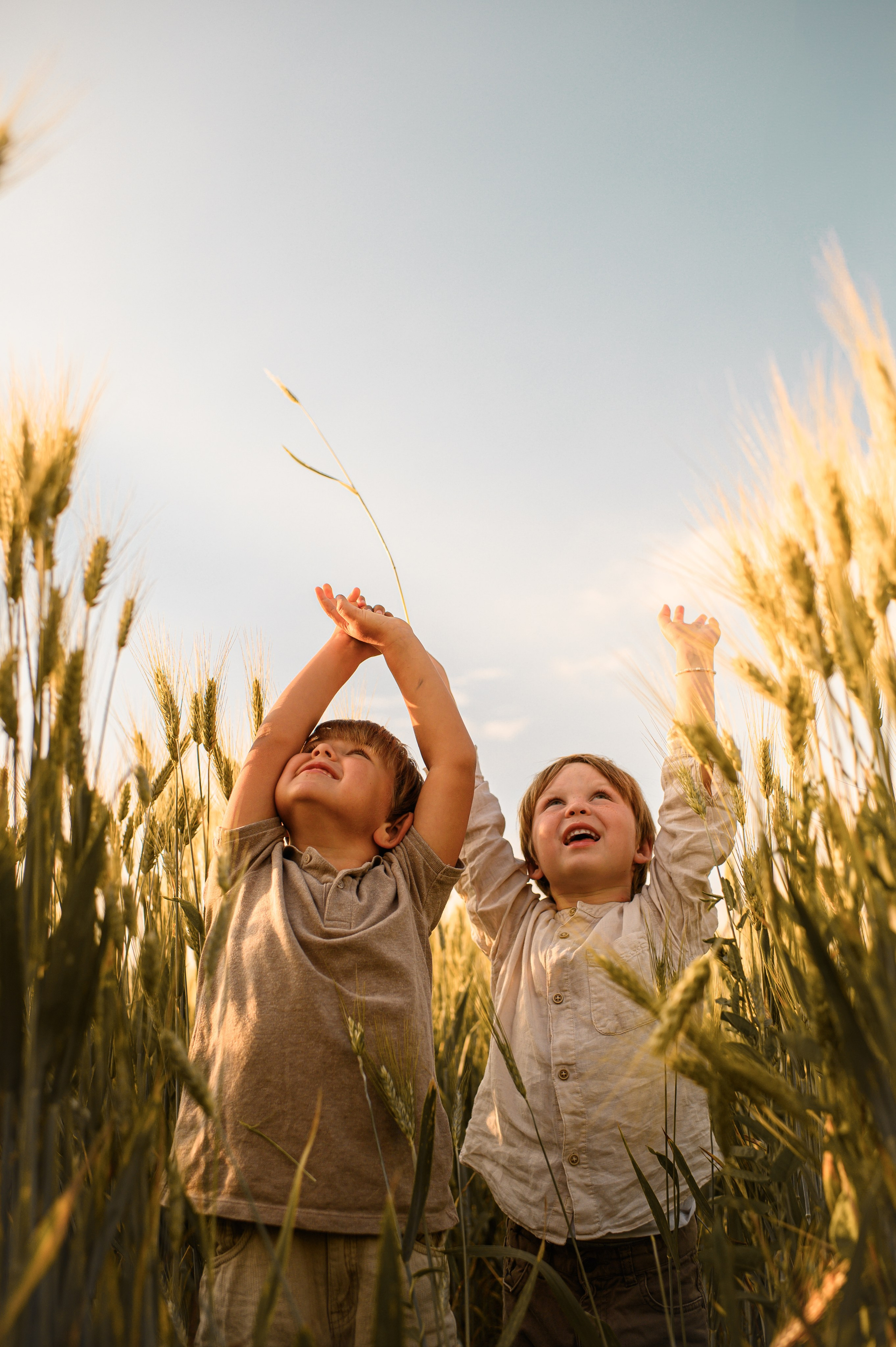 Wheat fields. Family, children, portrait, and event photography in Thessaloniki