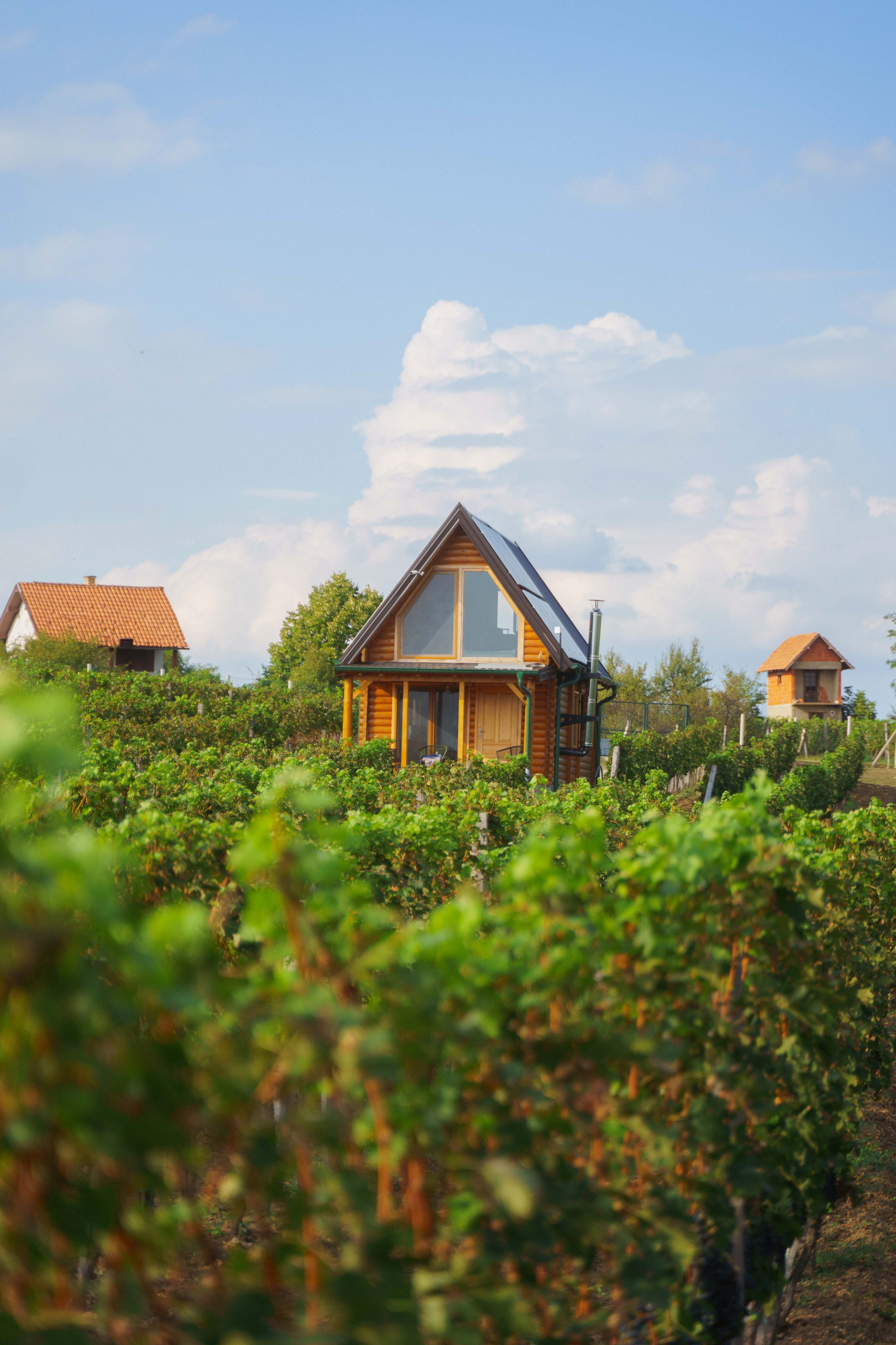 Jeep Commerce Event. Zhukov studio