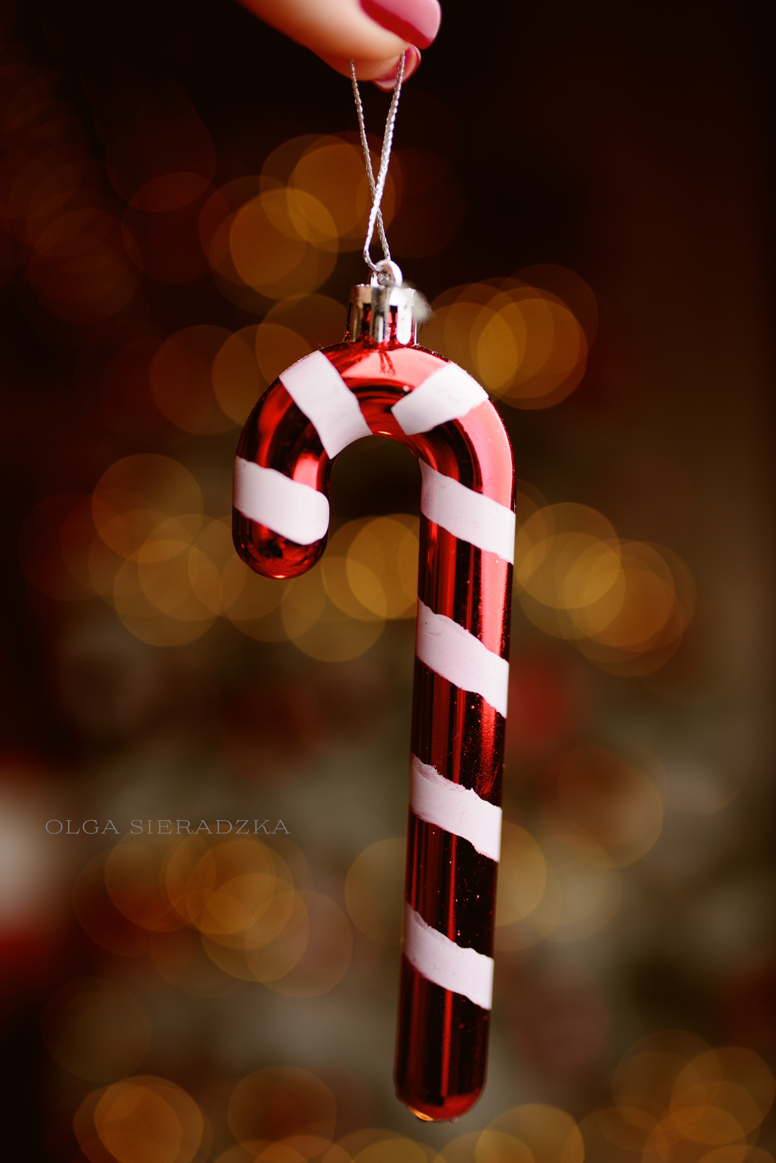 Christmas time. Olga Sieradzka fotograf rodzinny, ciążowy i dziecięcy w Pile