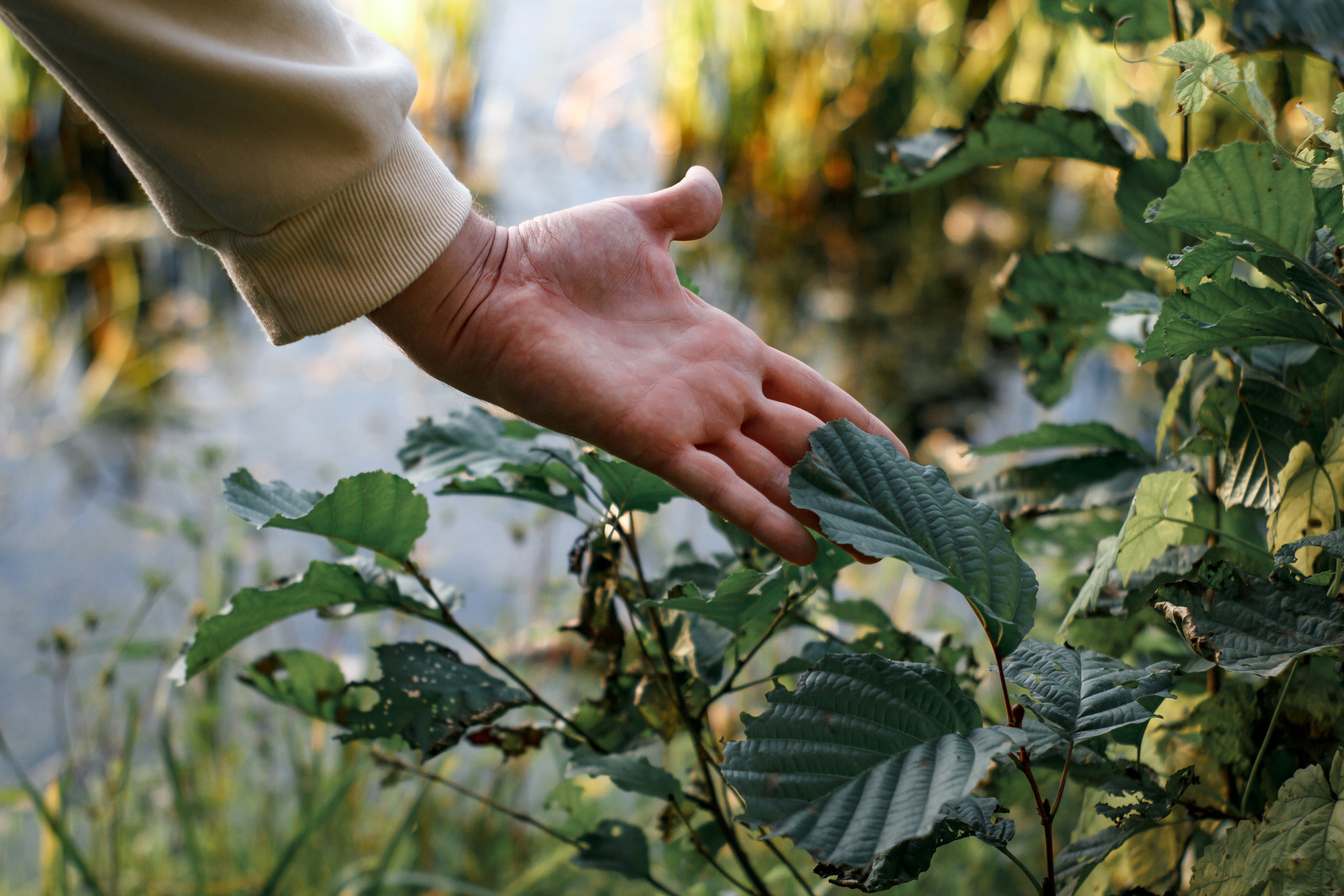 Владислав. Свадебный и портретный фотограф в Белграде Екатерина Македонская