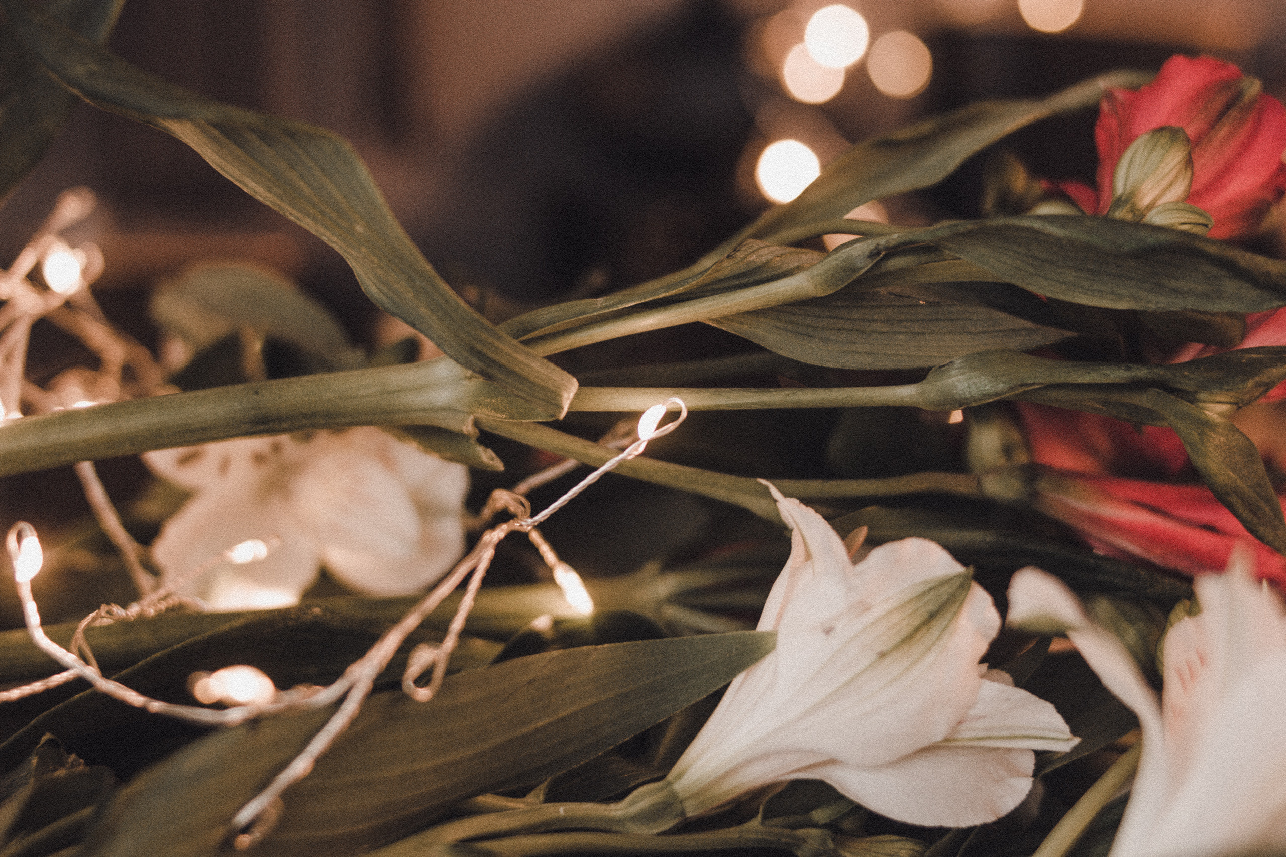 Алена, Даша, Лера, Марина. Свадебный и портретный фотограф в Белграде Екатерина Македонская