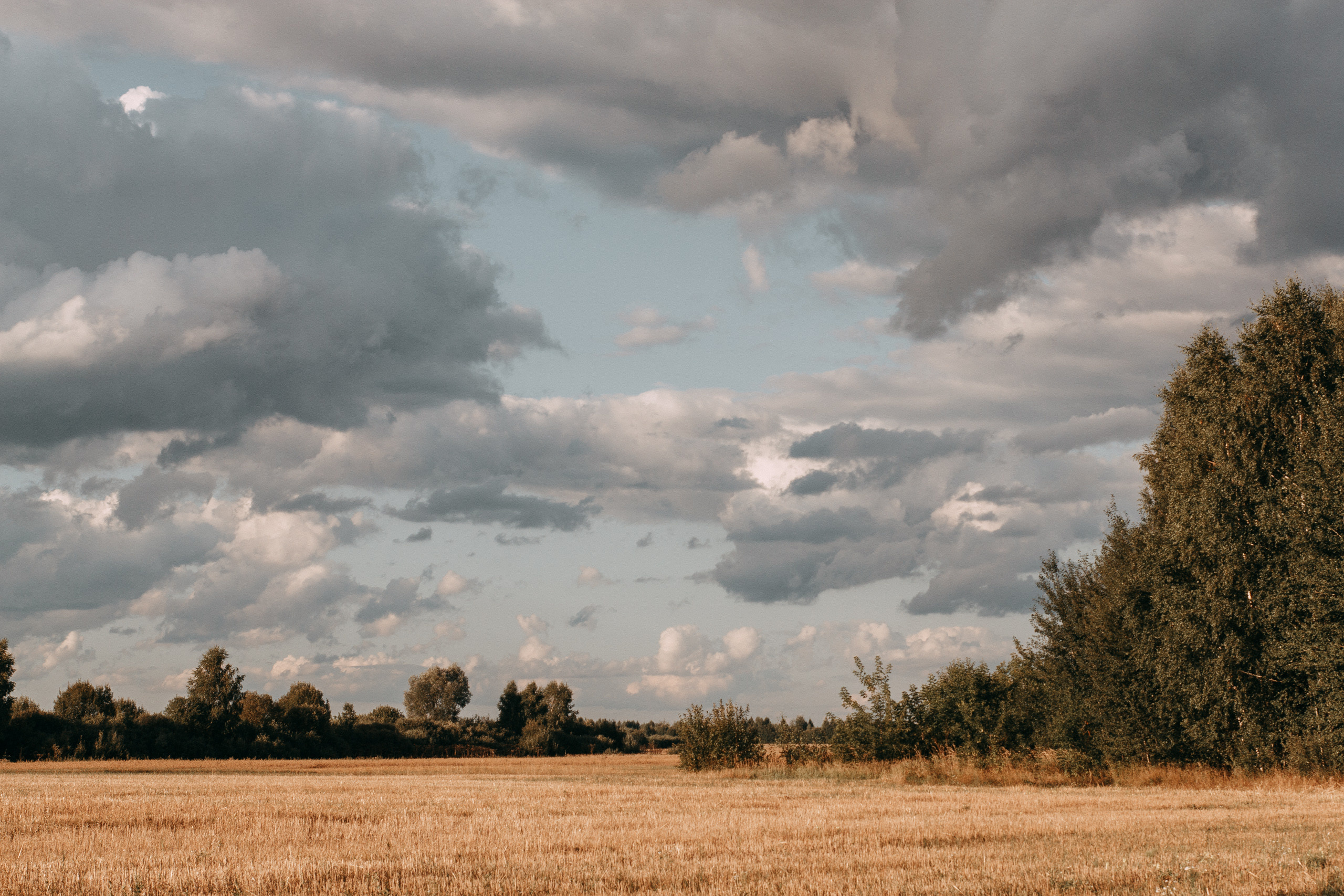 Саня и Соня. Свадебный и портретный фотограф в Белграде Екатерина Македонская